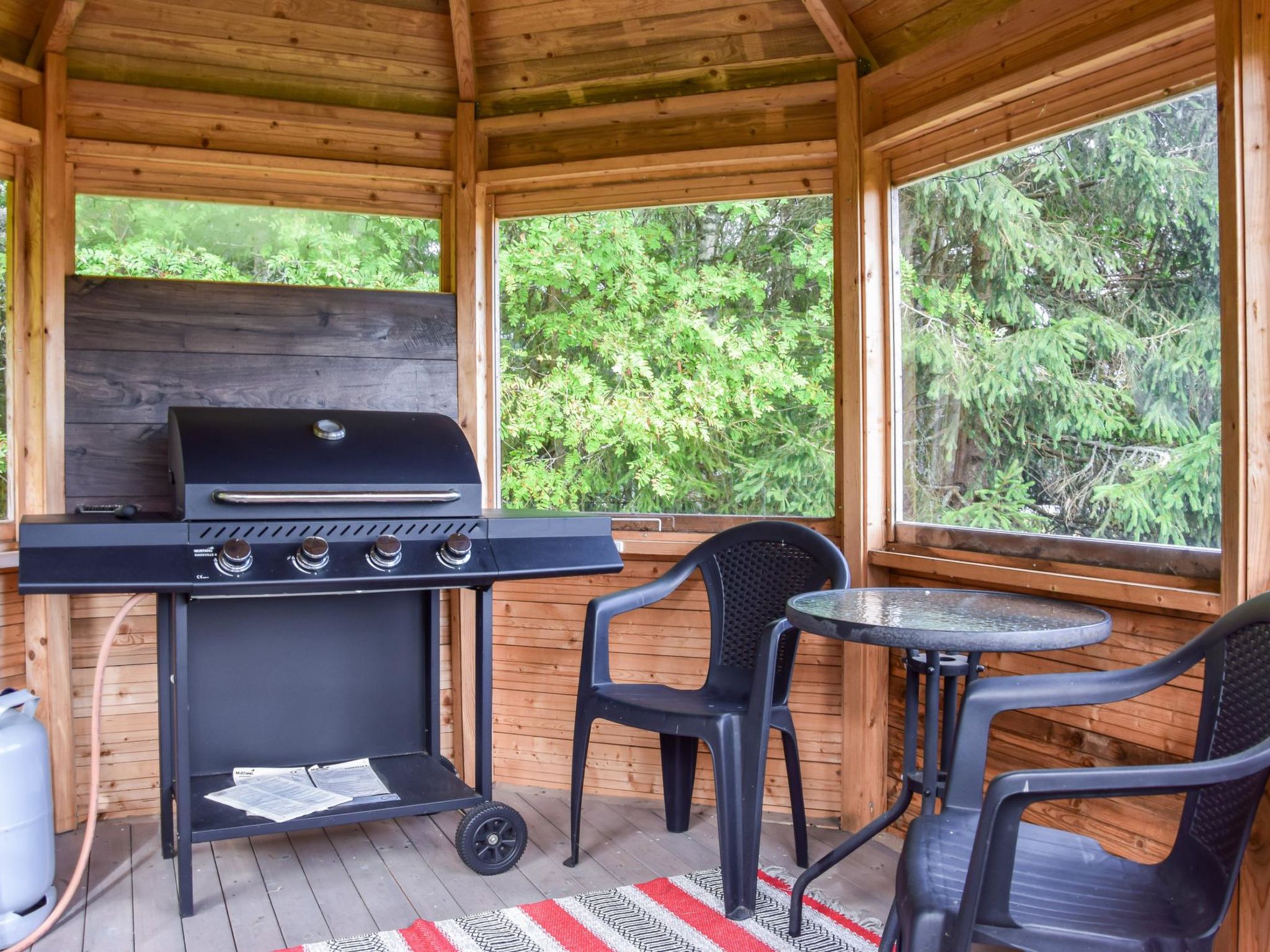 Petäjäniemi-Binnen