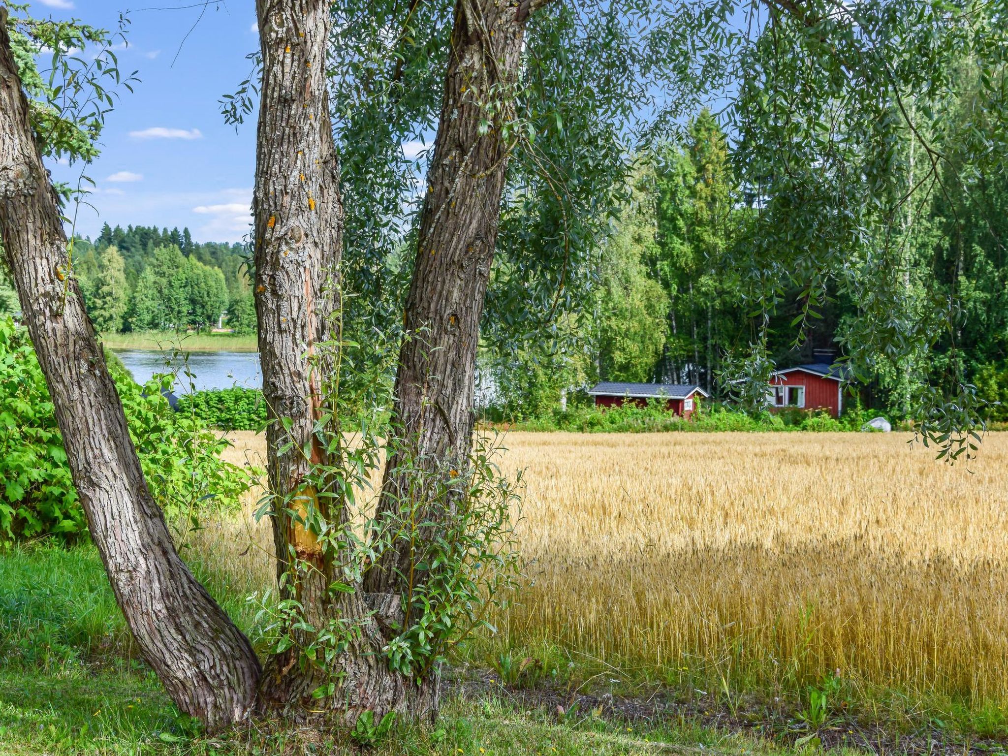 Petäjäniemi-Binnen