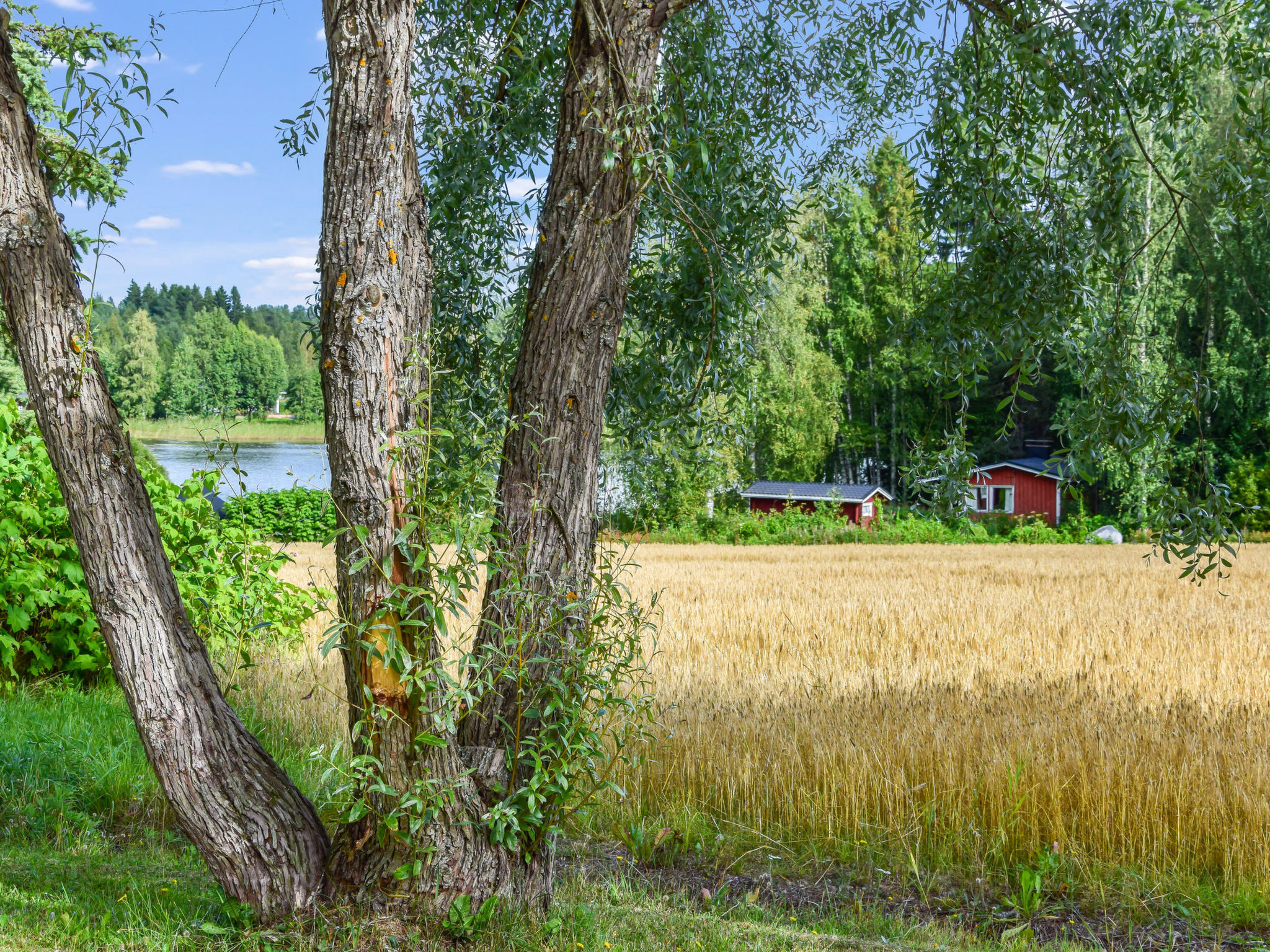 Petäjäniemi - Inside
