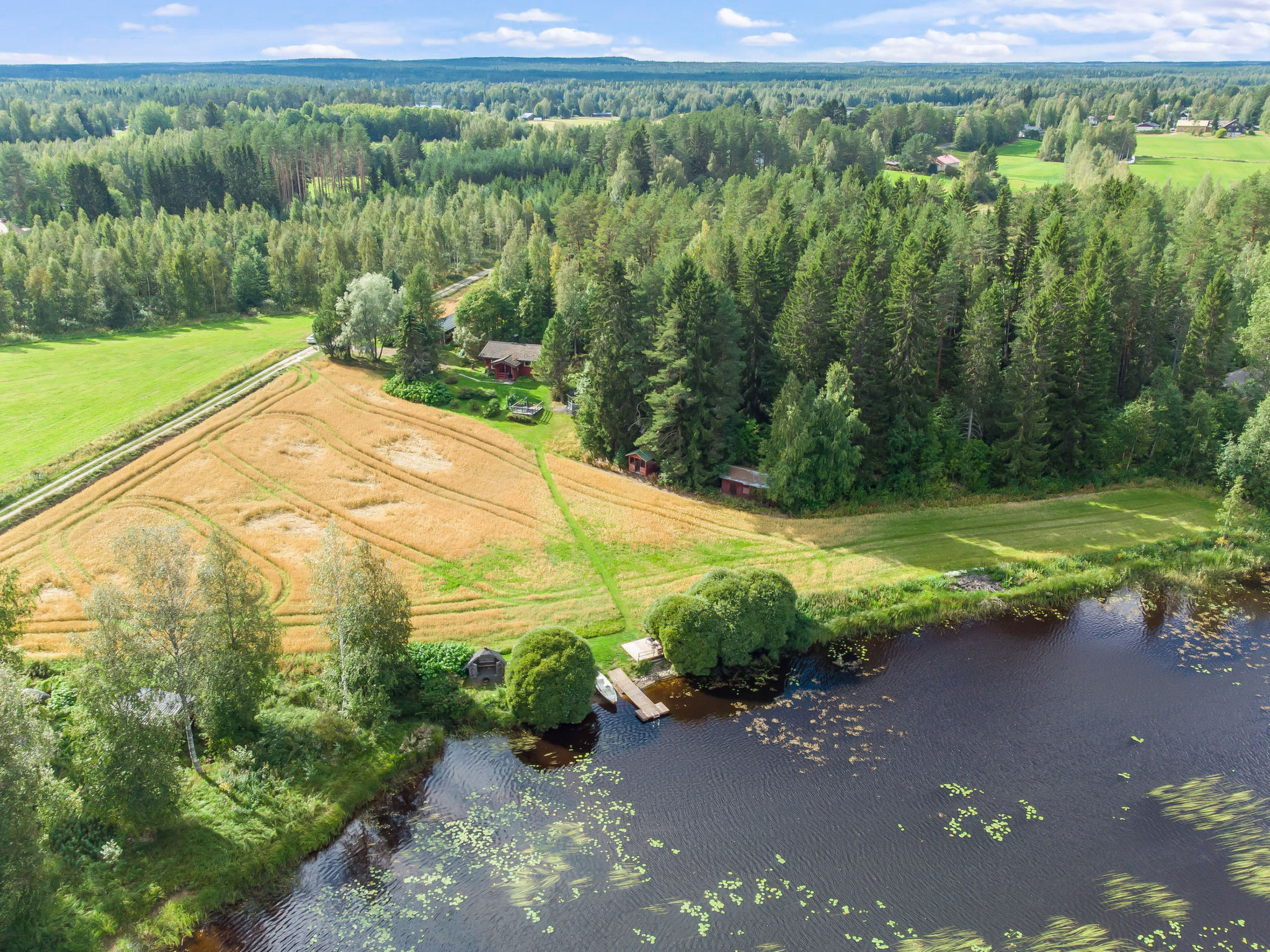 Petäjäniemi