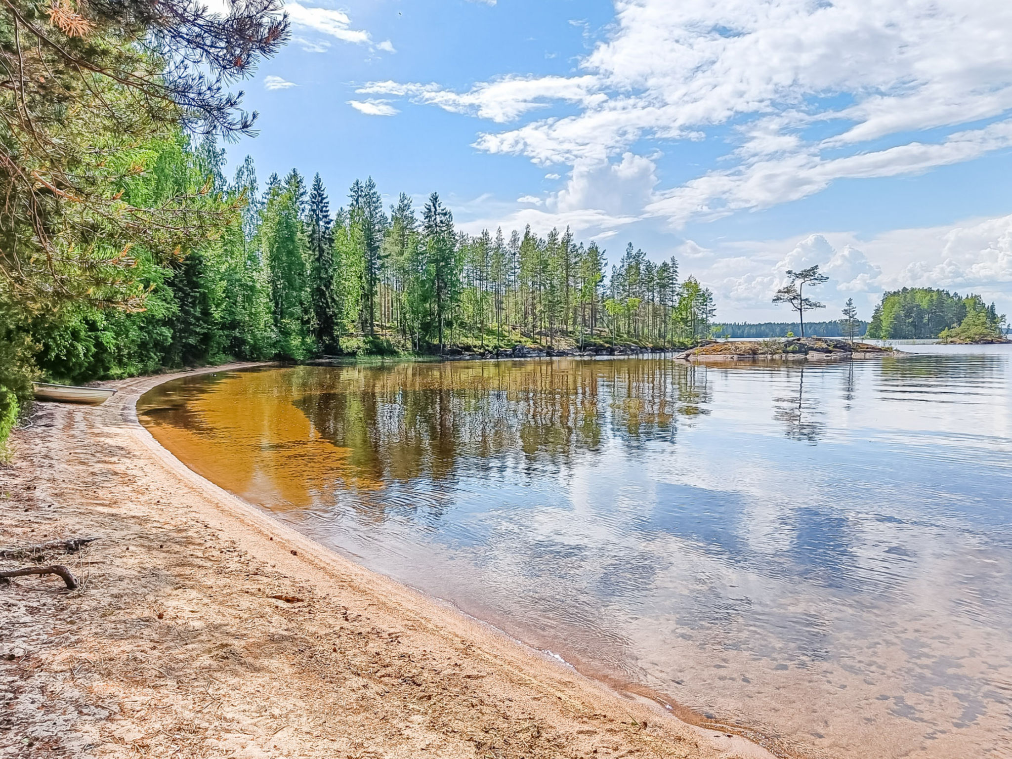 Metsätähti