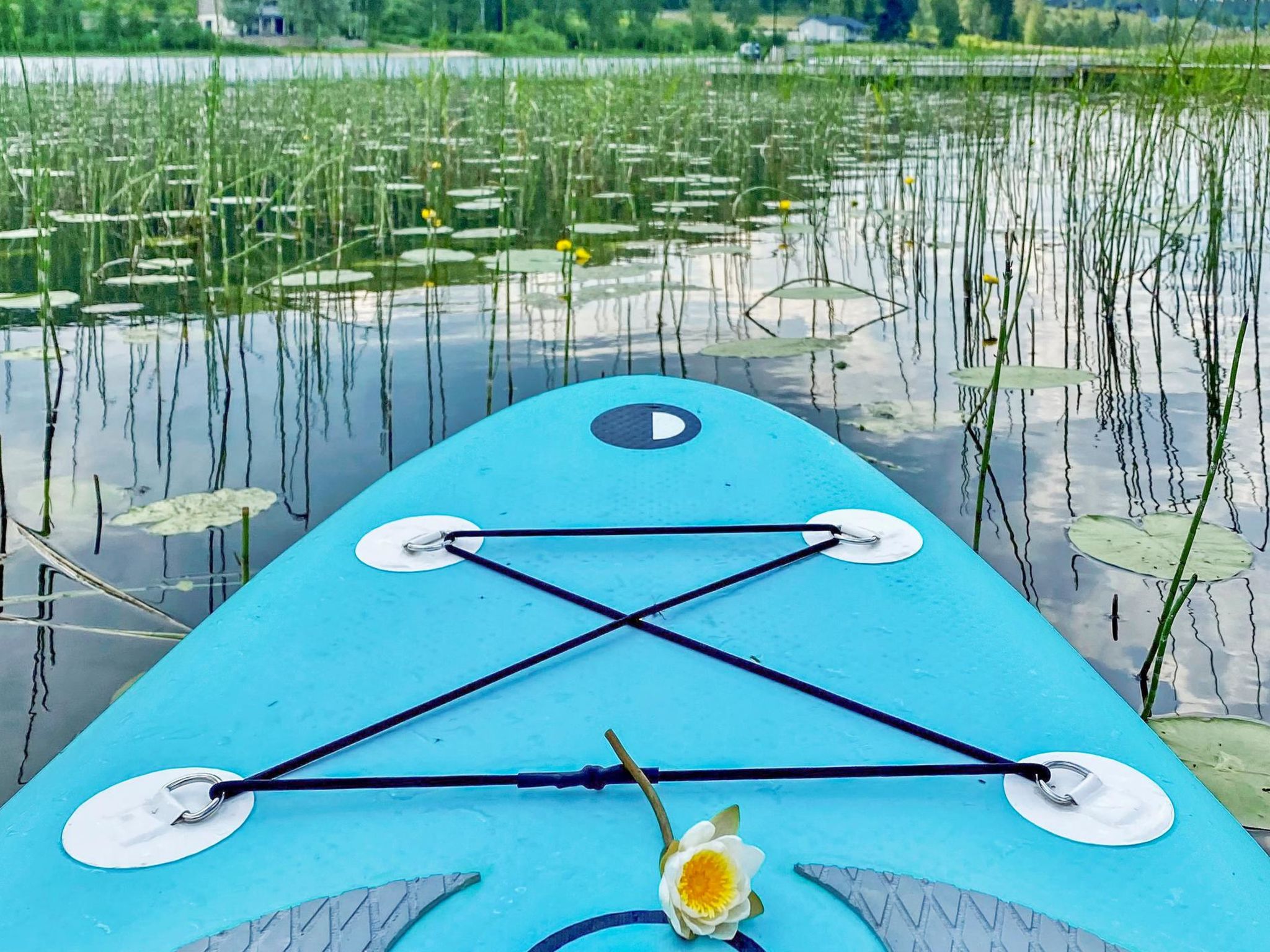 Nuppulanranta 14-Binnen