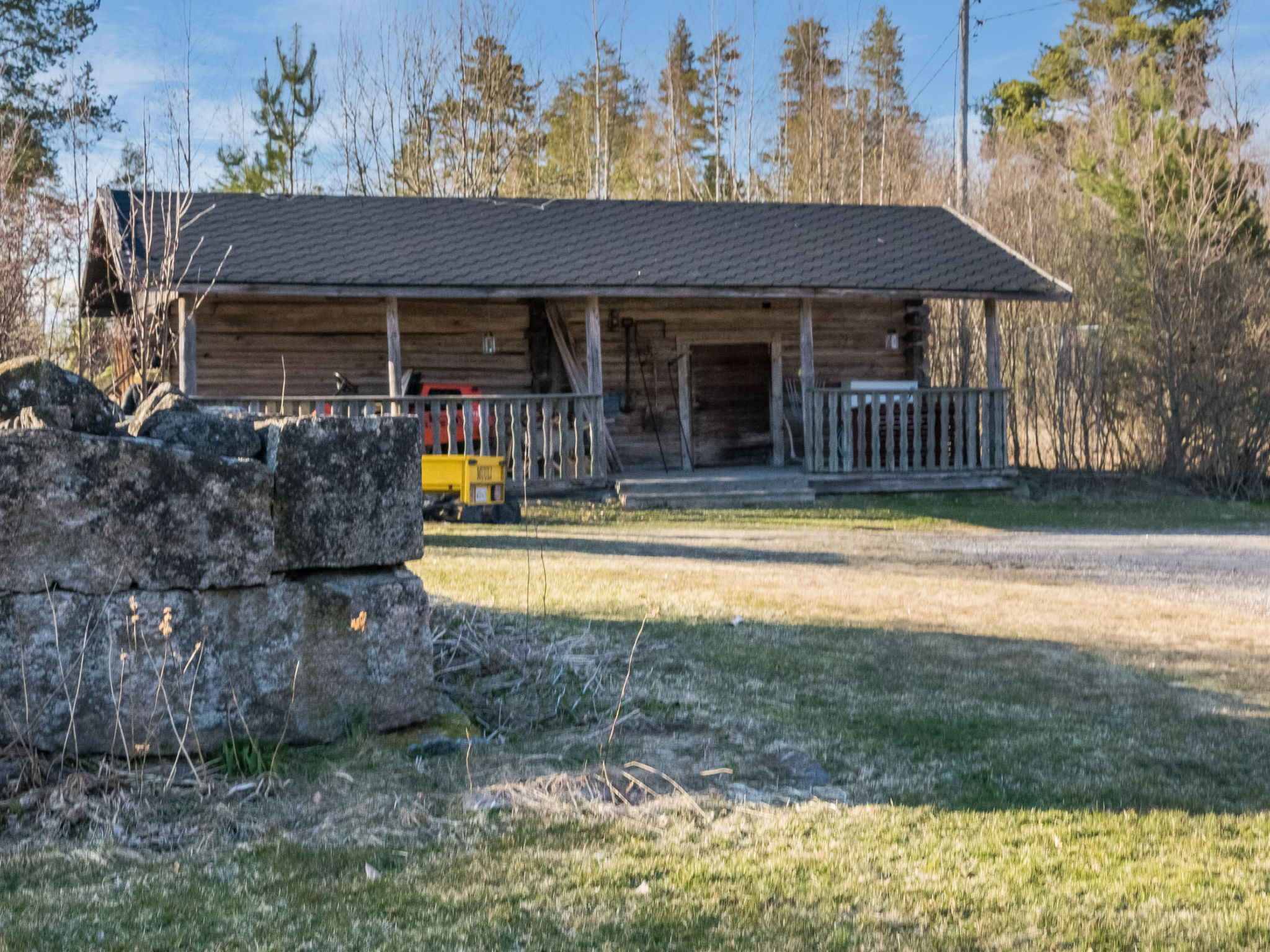 Villa kettu