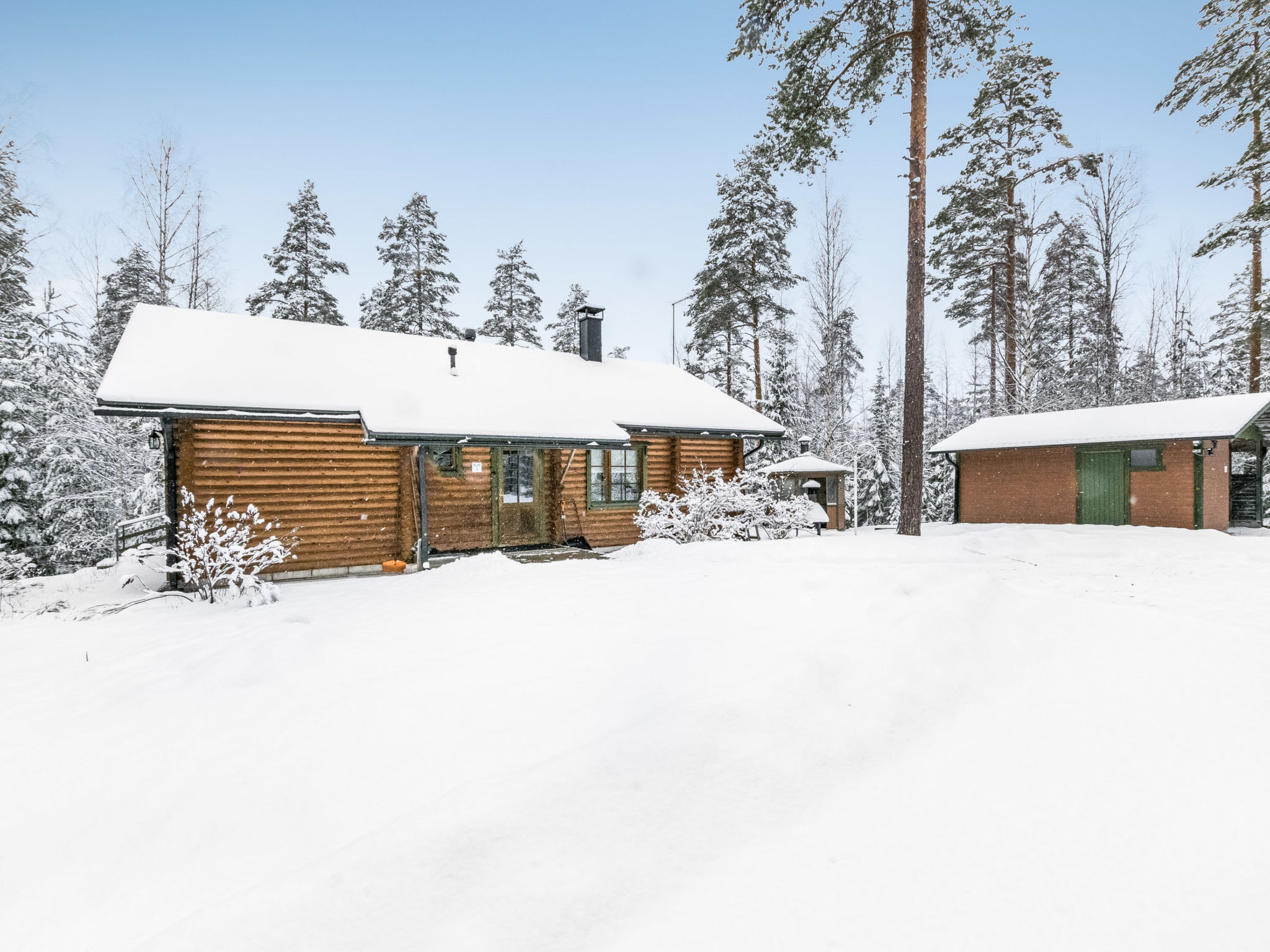 Kallionnenä
