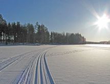 Ferienhaus Honkaharju