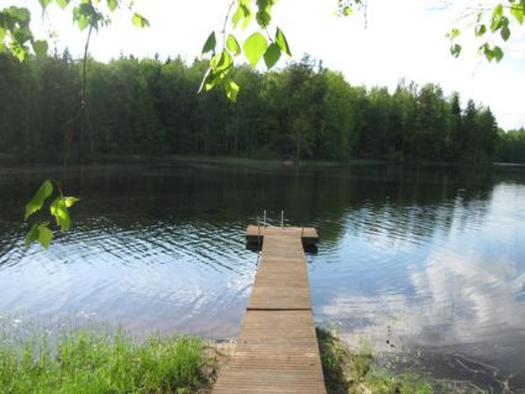 Honkaharju