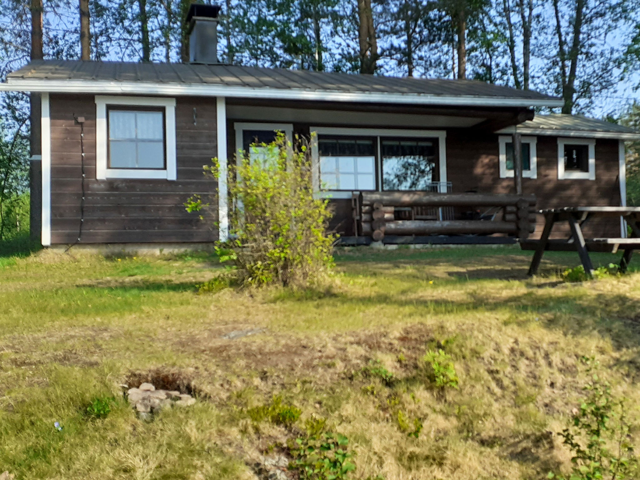 Pihlaja