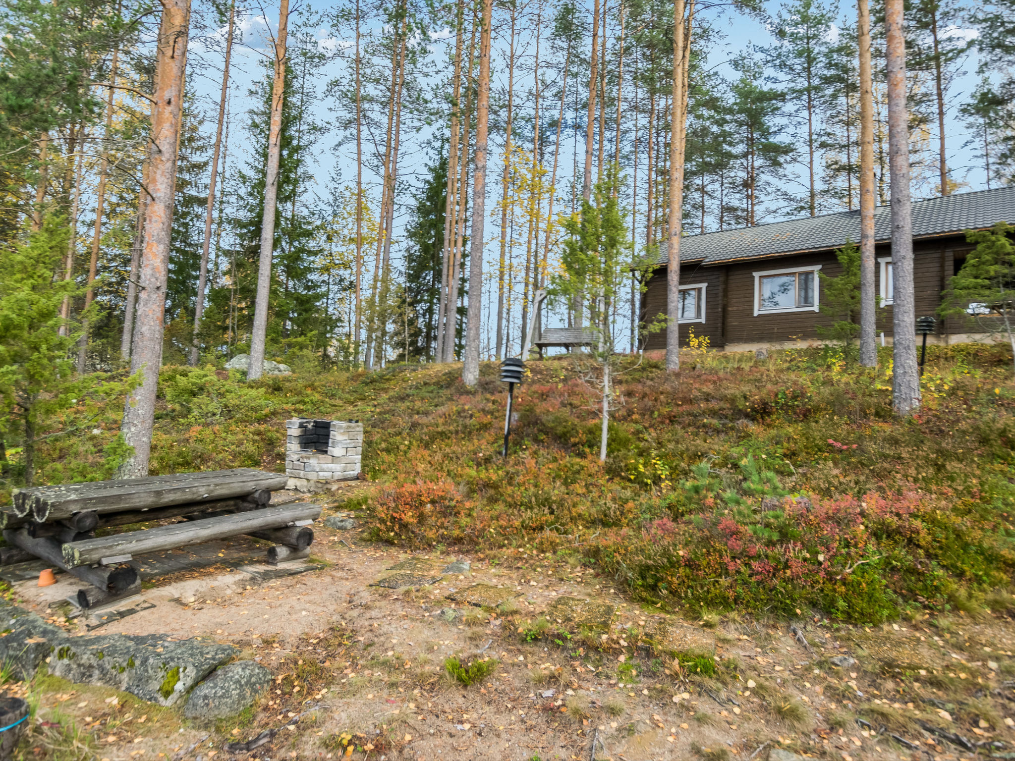 Mäntykumpu