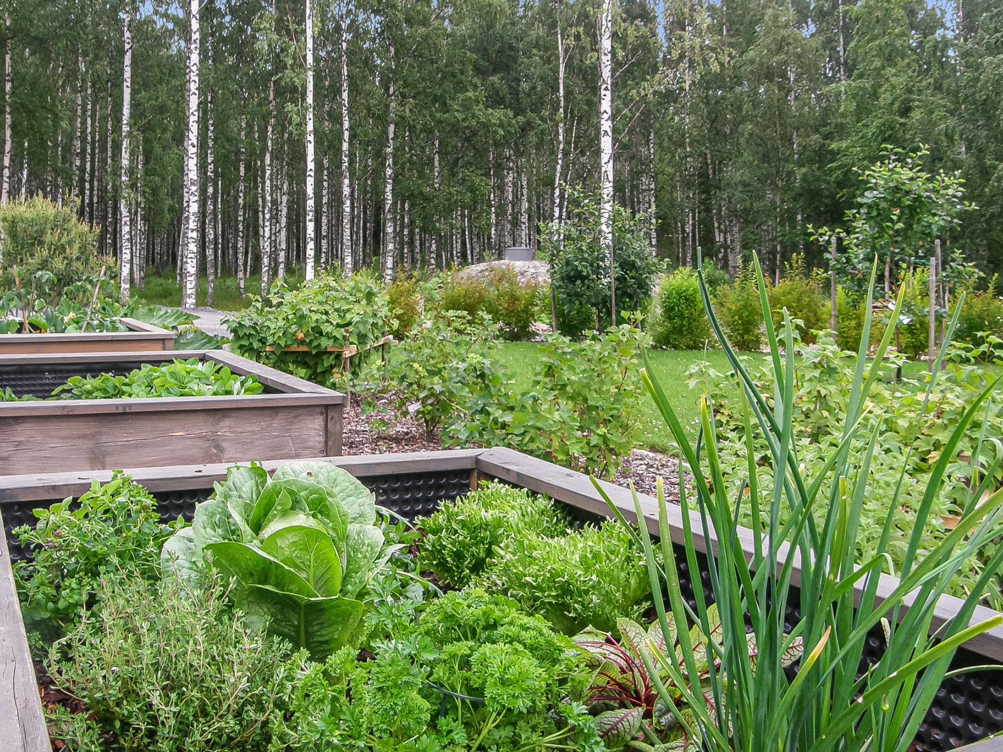 Villa paasirinne a-Inside