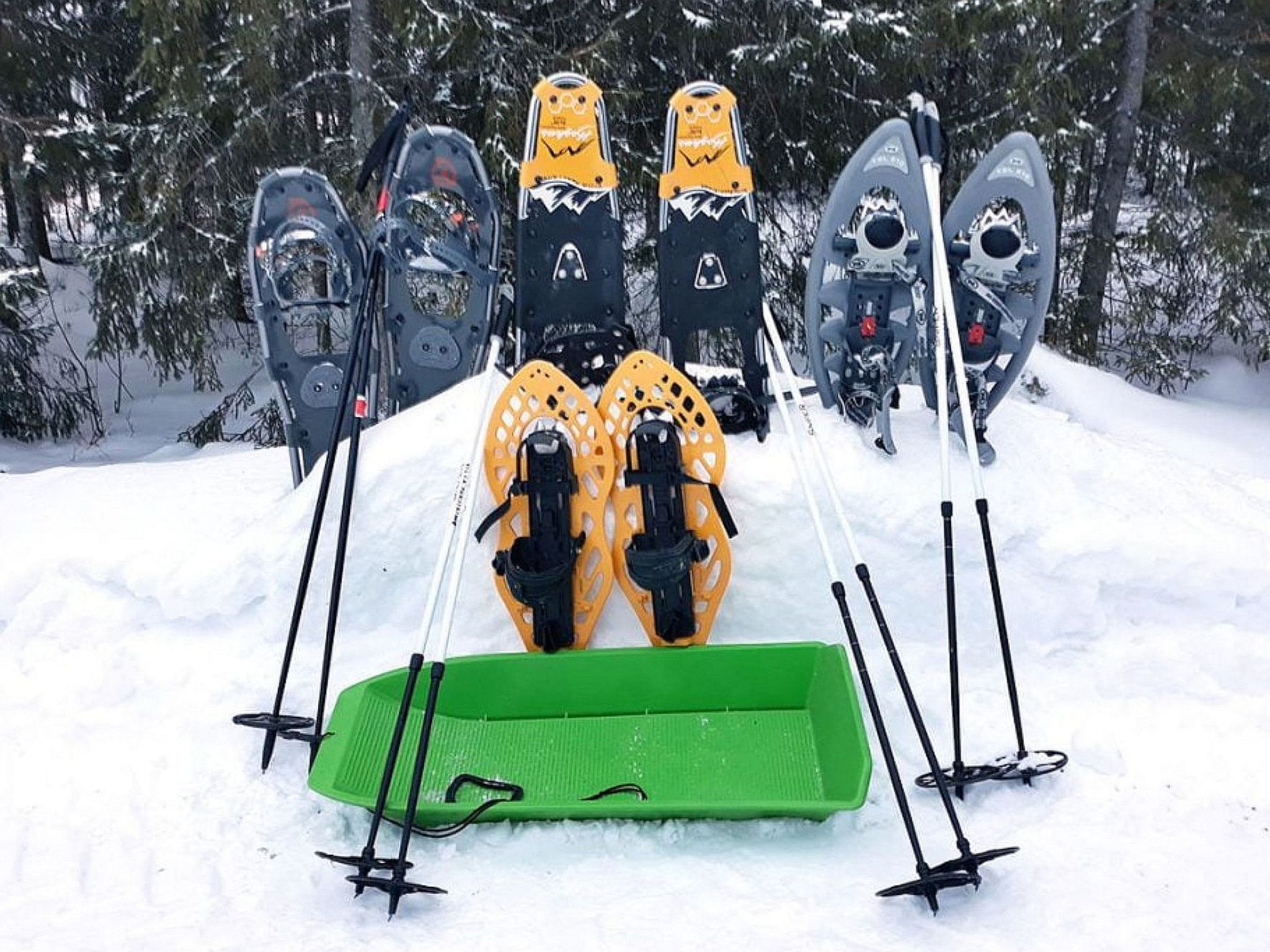 Villa paasirinne a-Dedans