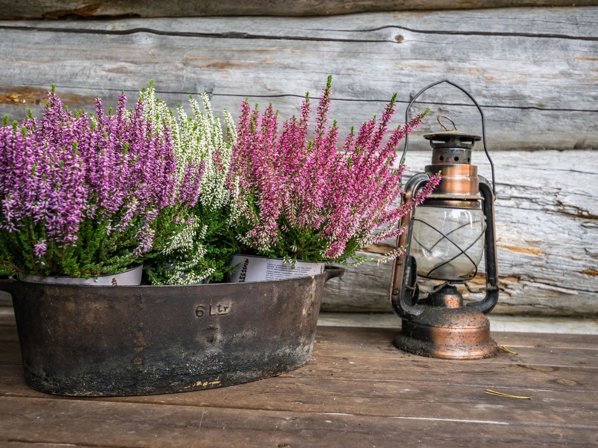 Mäntyranta lodge-Binnen