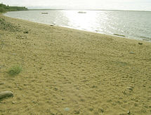 Lomatalo Lomatuuli