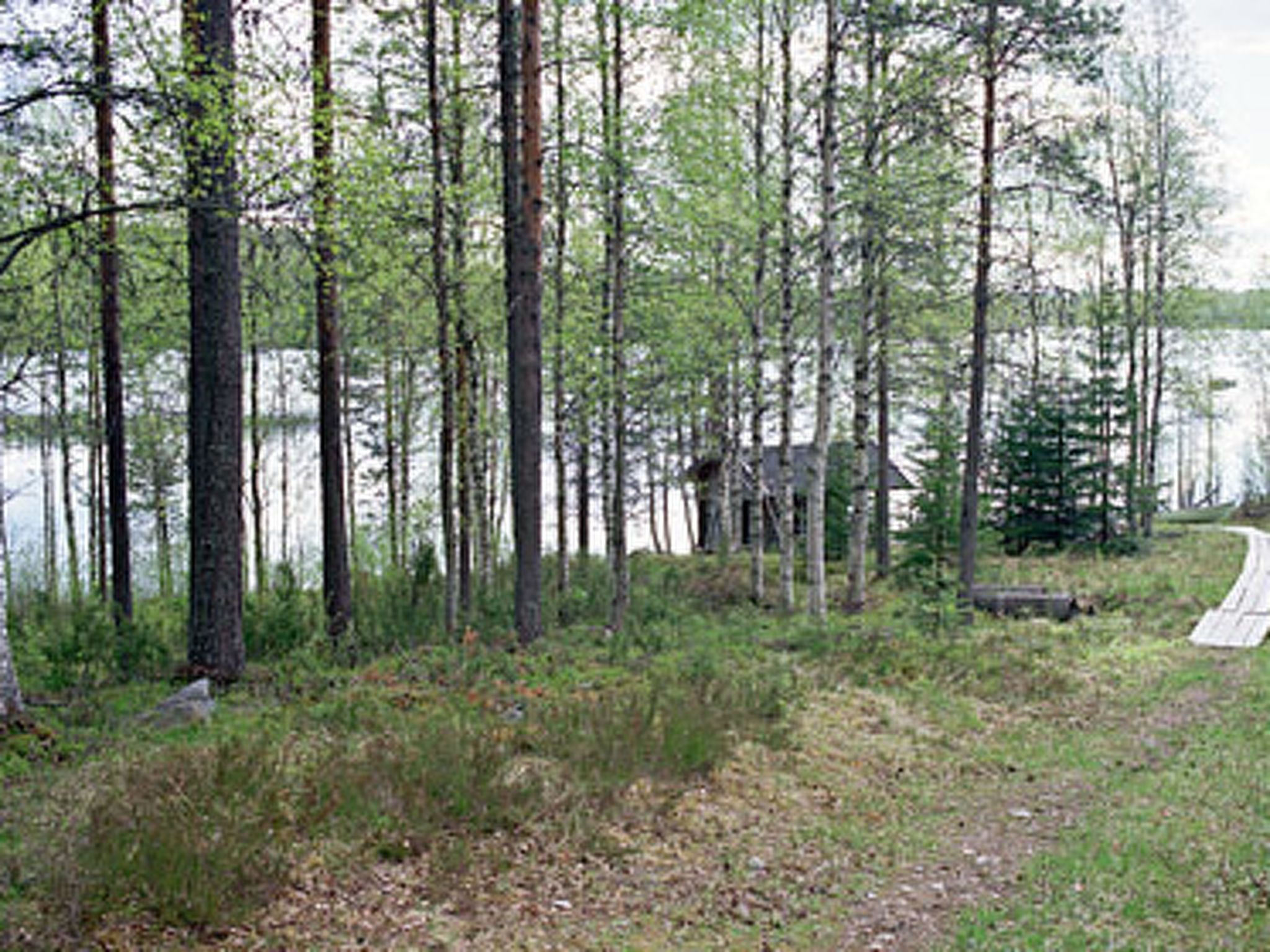 Mustikkainen