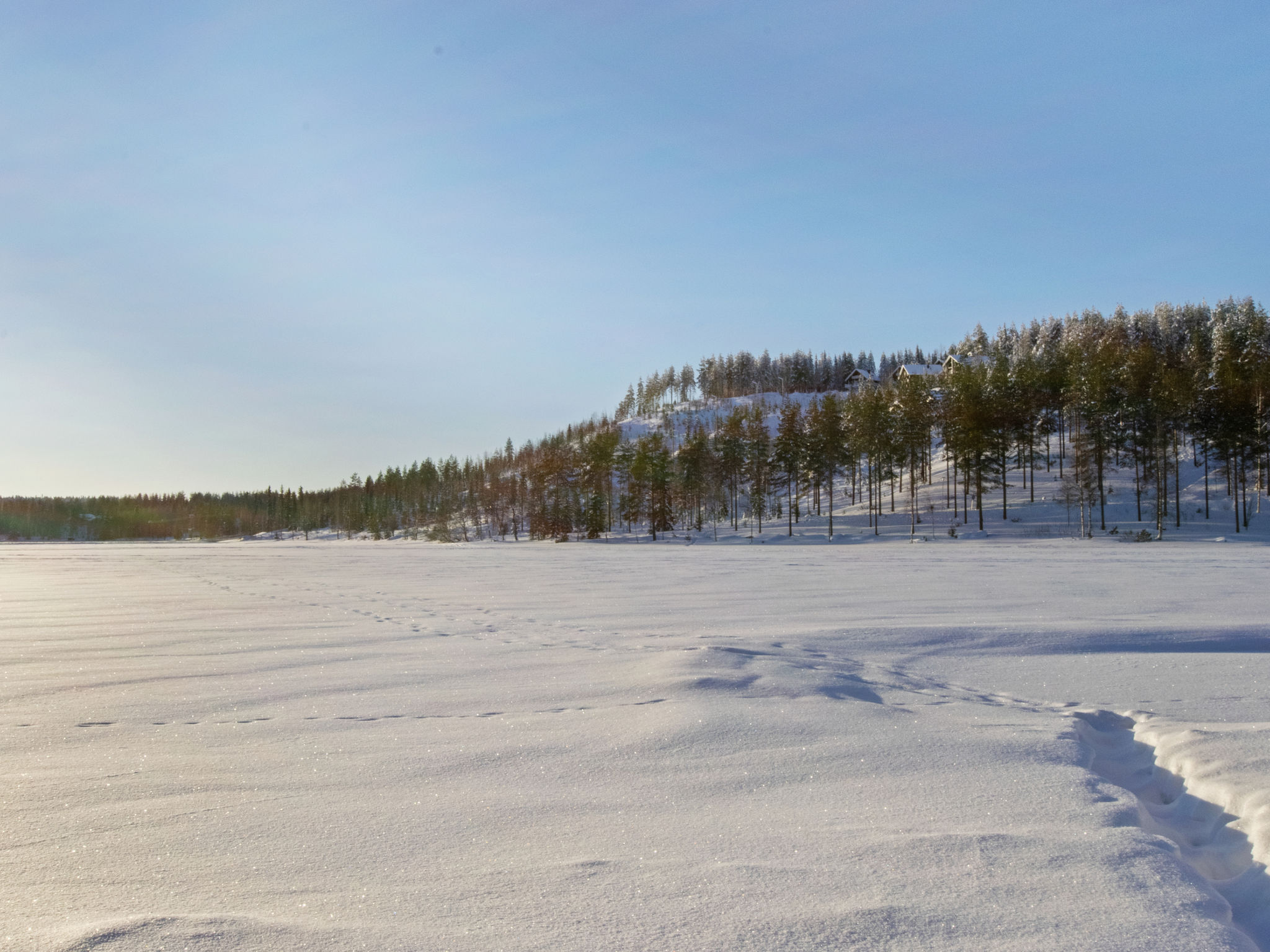 Hallantytär a2 paritalo