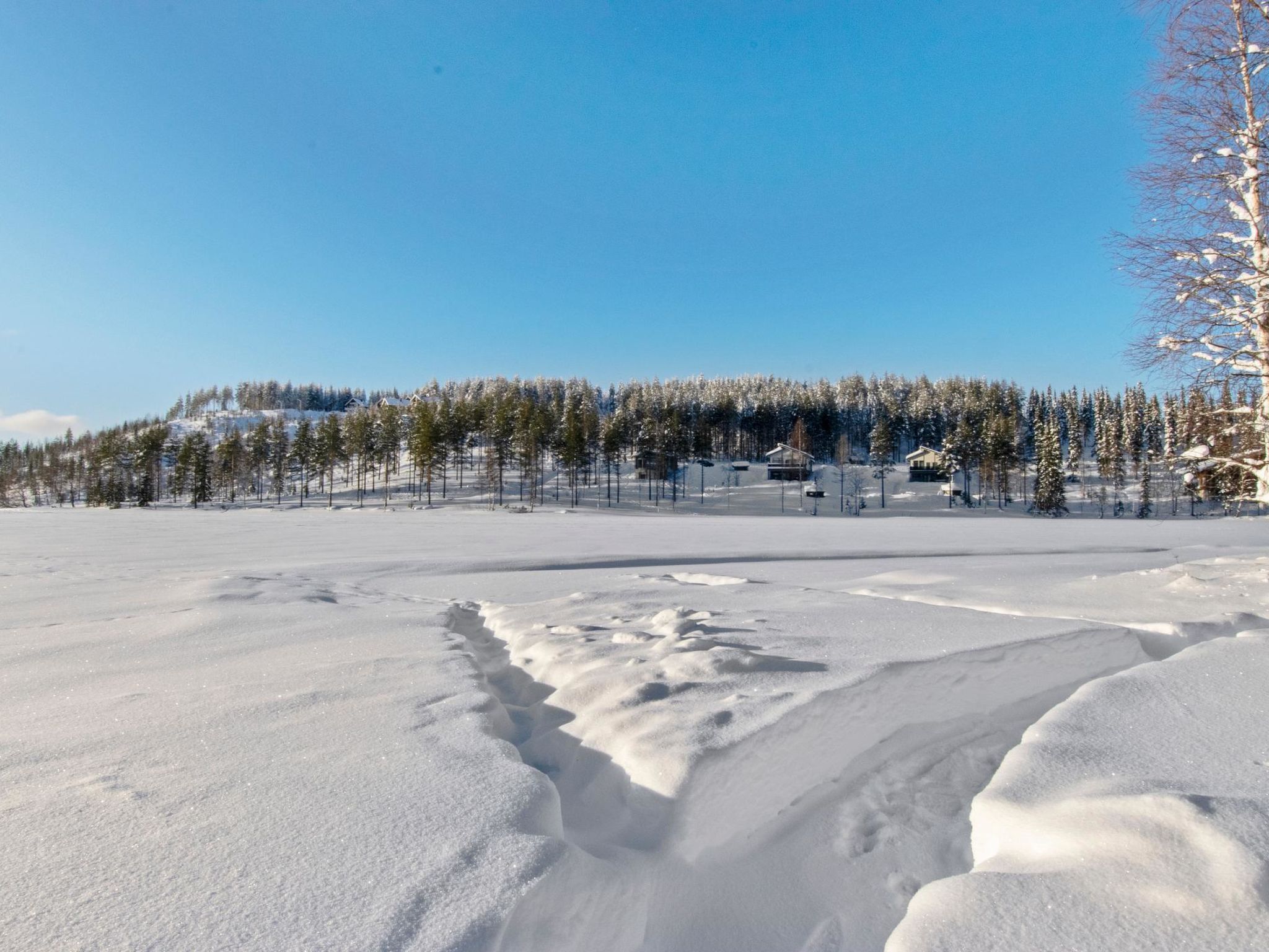 Hallantytär b3 paritalo-Binnen