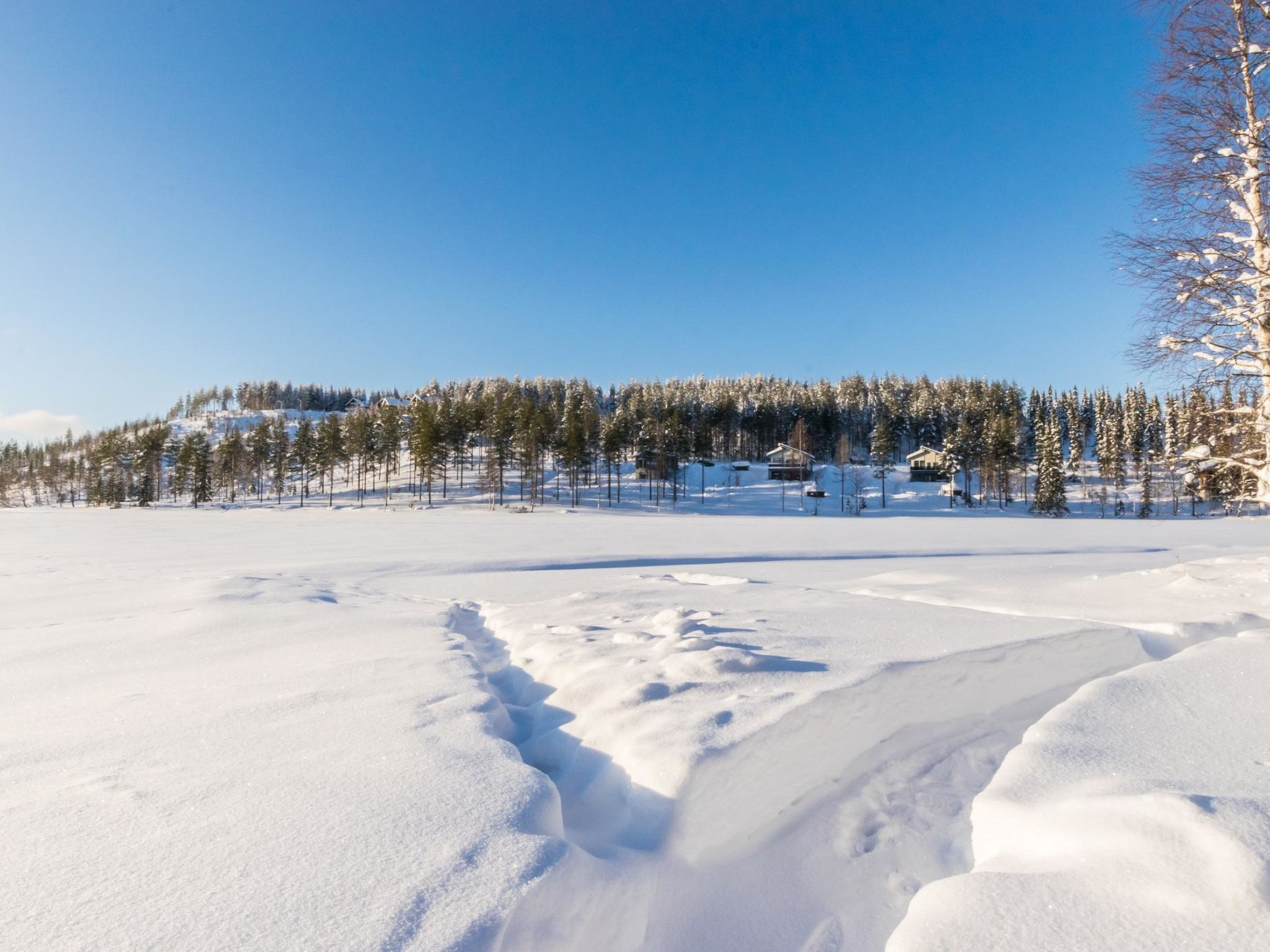 Hallantytär b4 paritalo-Binnen