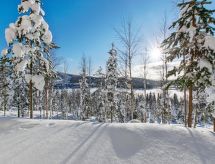 Alppikylä 13b paritalo