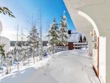 Alppikylä 13b paritalo