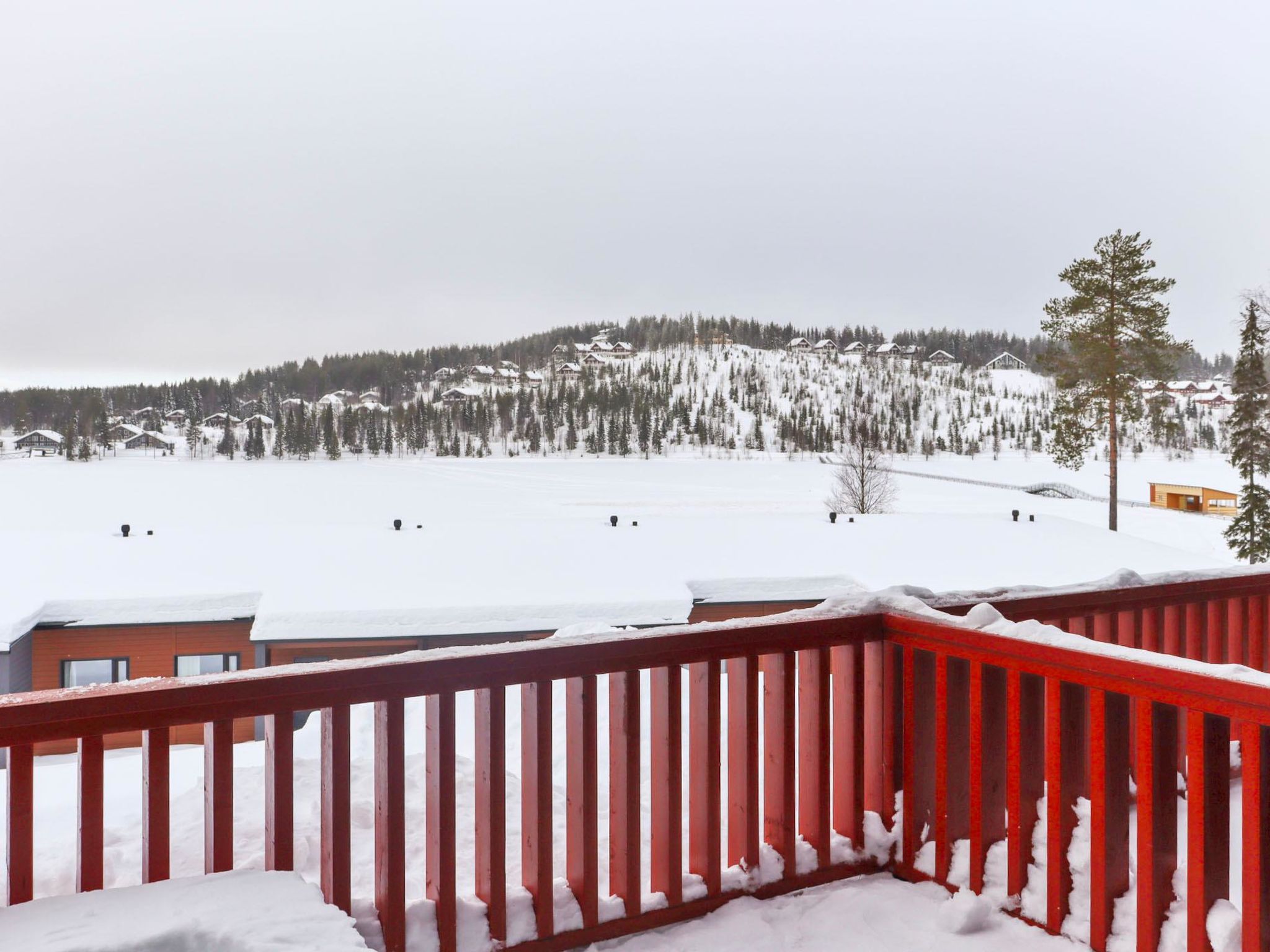 Skivillas 47 ukkohalla (a3)-Binnen