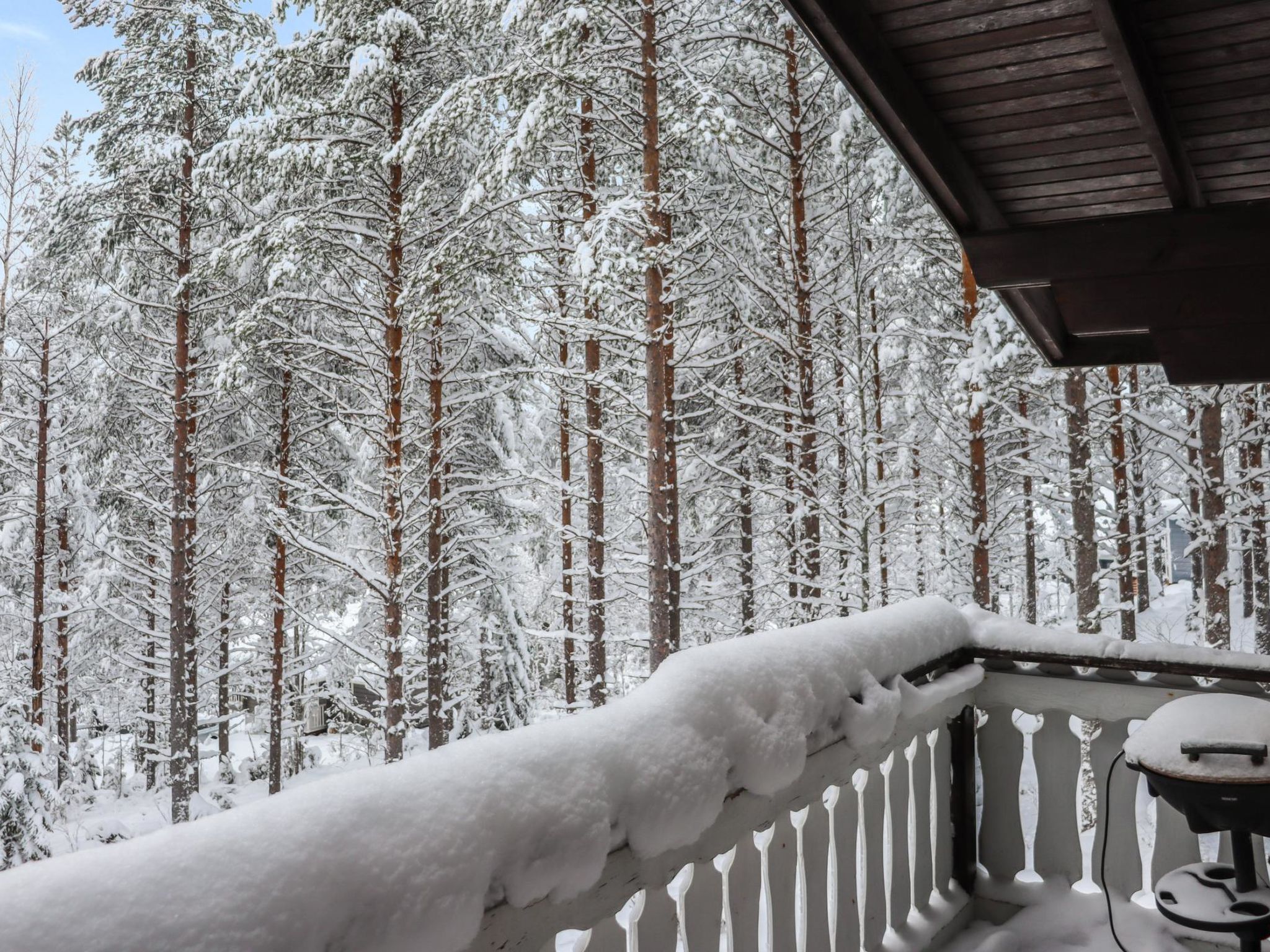 Hyrynpirtti mökki-Binnen