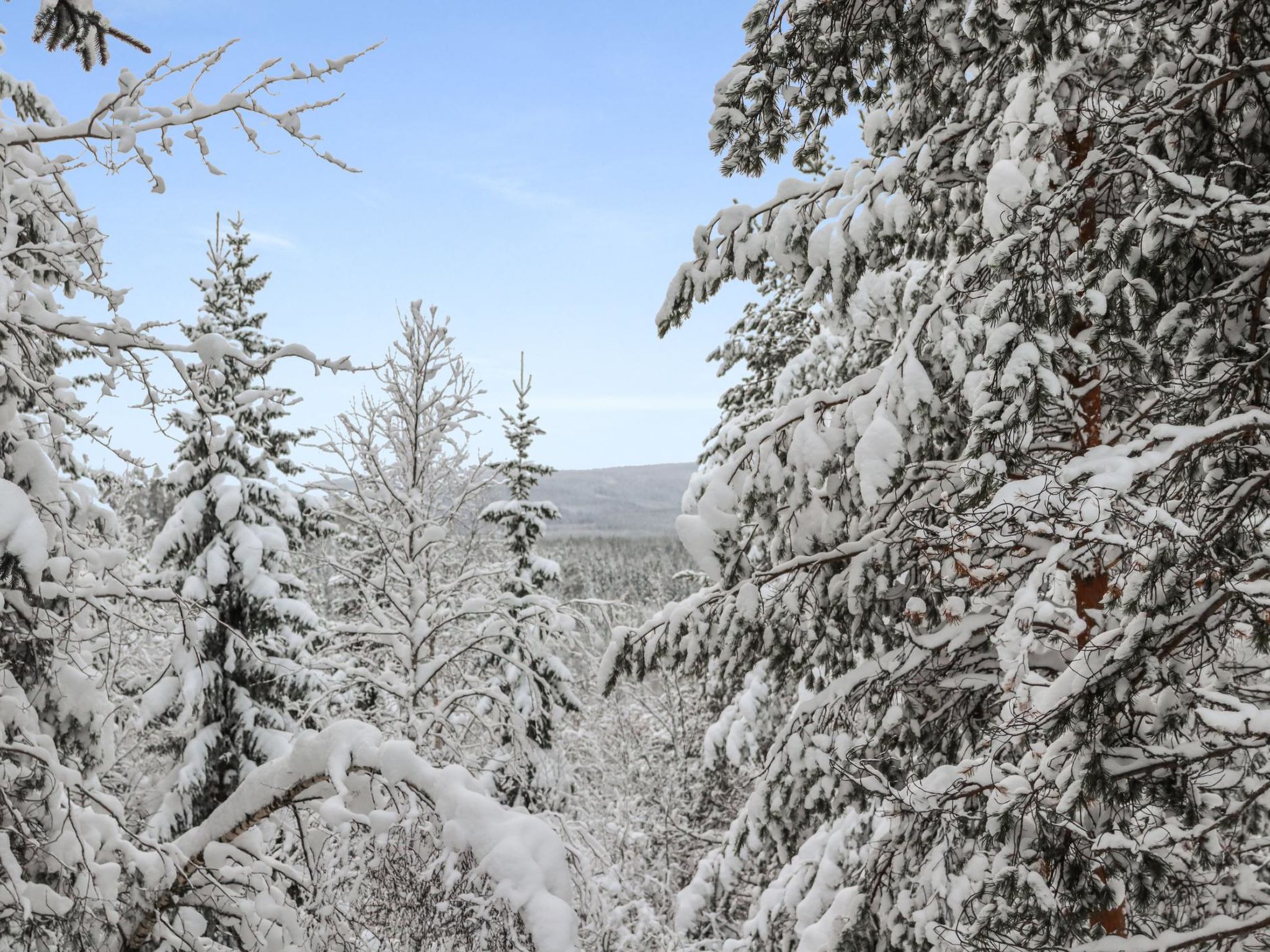 Hyrynpirtti mökki-Binnen