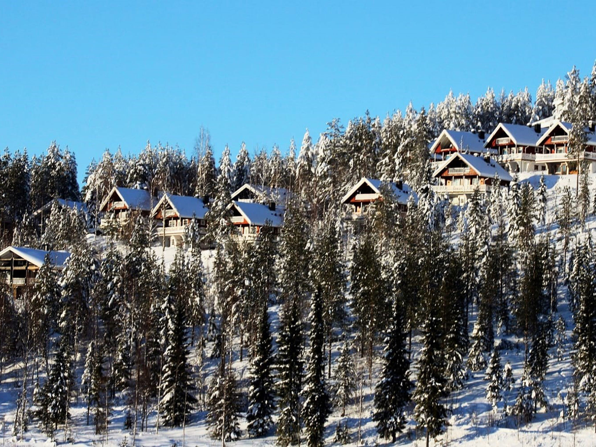 Hyrynpirtti mökki