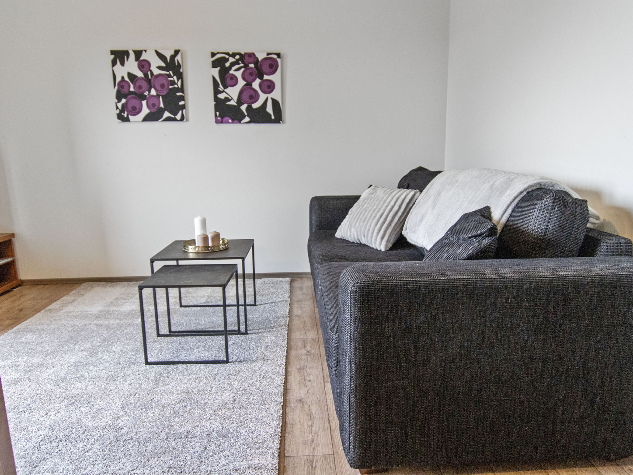 Skivillas 47 ukkohalla (a8) - Binnen