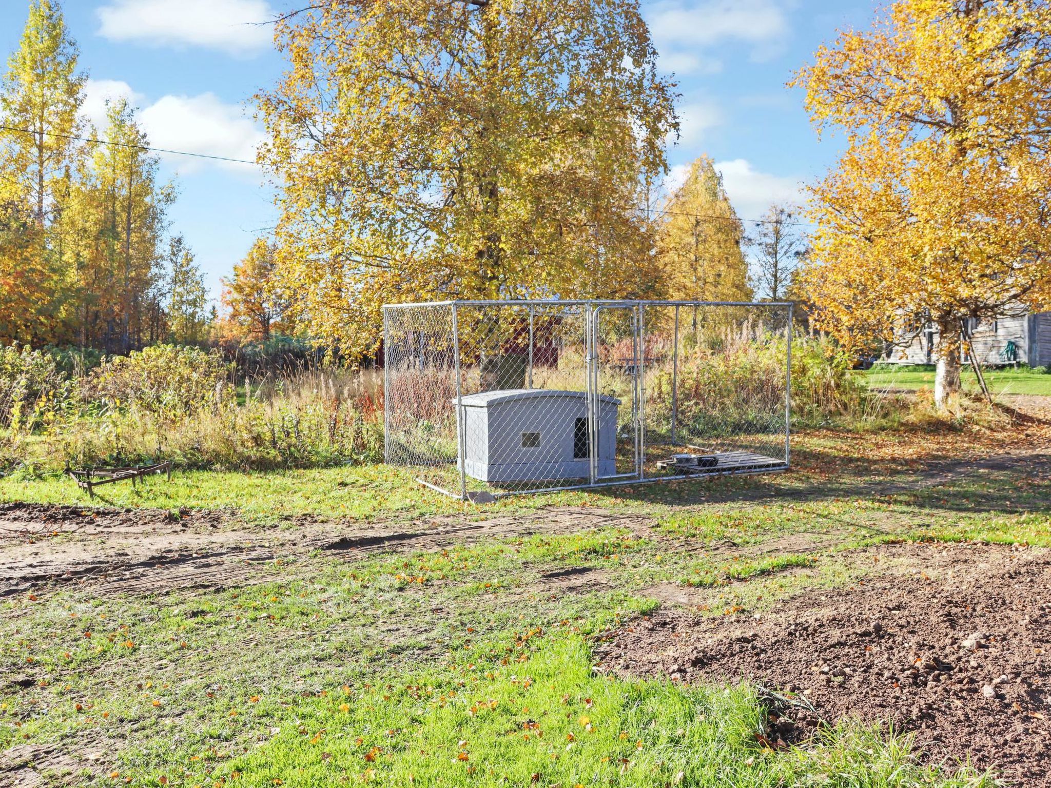 Laattajan hirsipirtti-Binnen