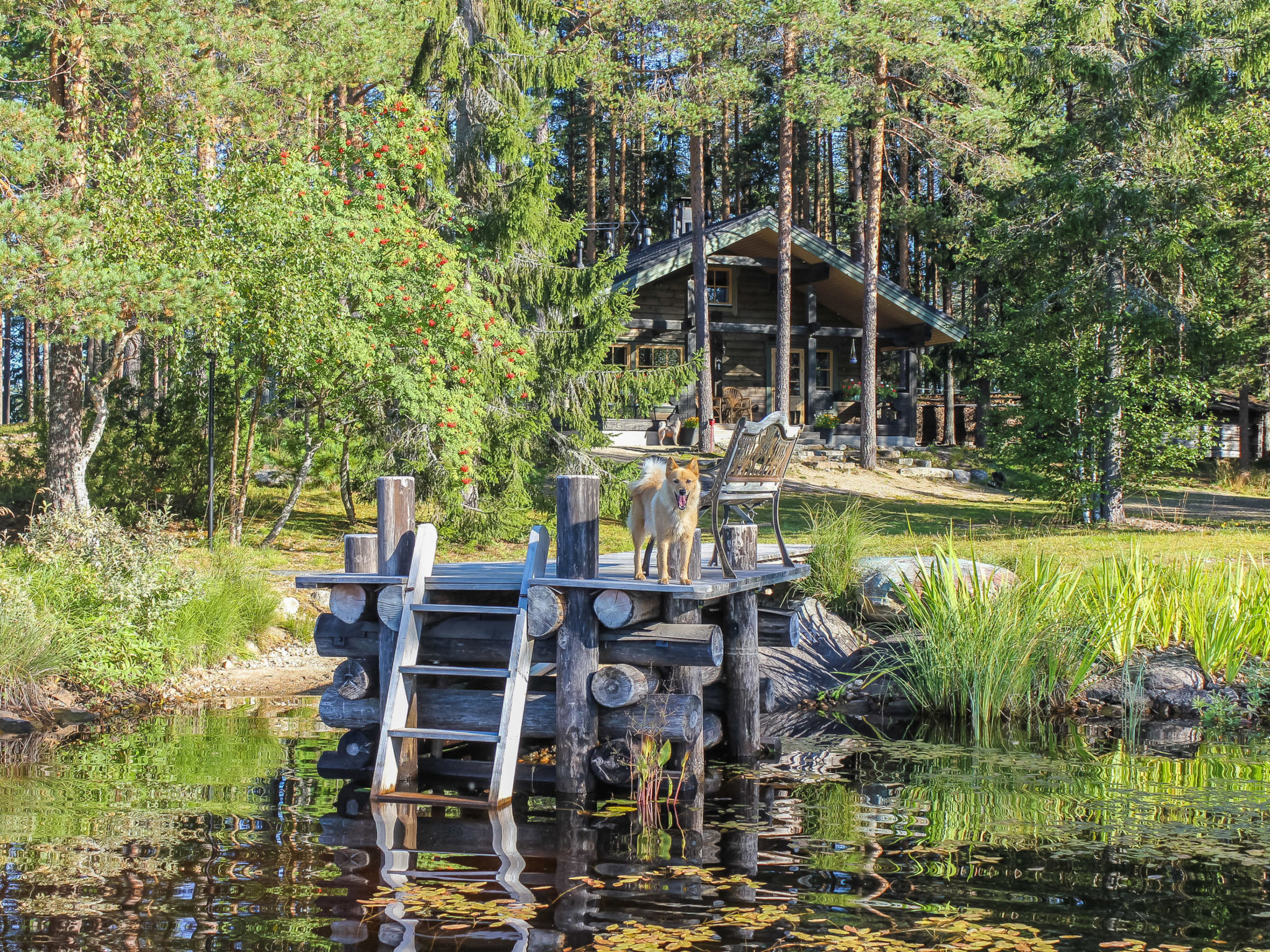 Maison Hamppulahti – Intérieur, photo 35 sur 66