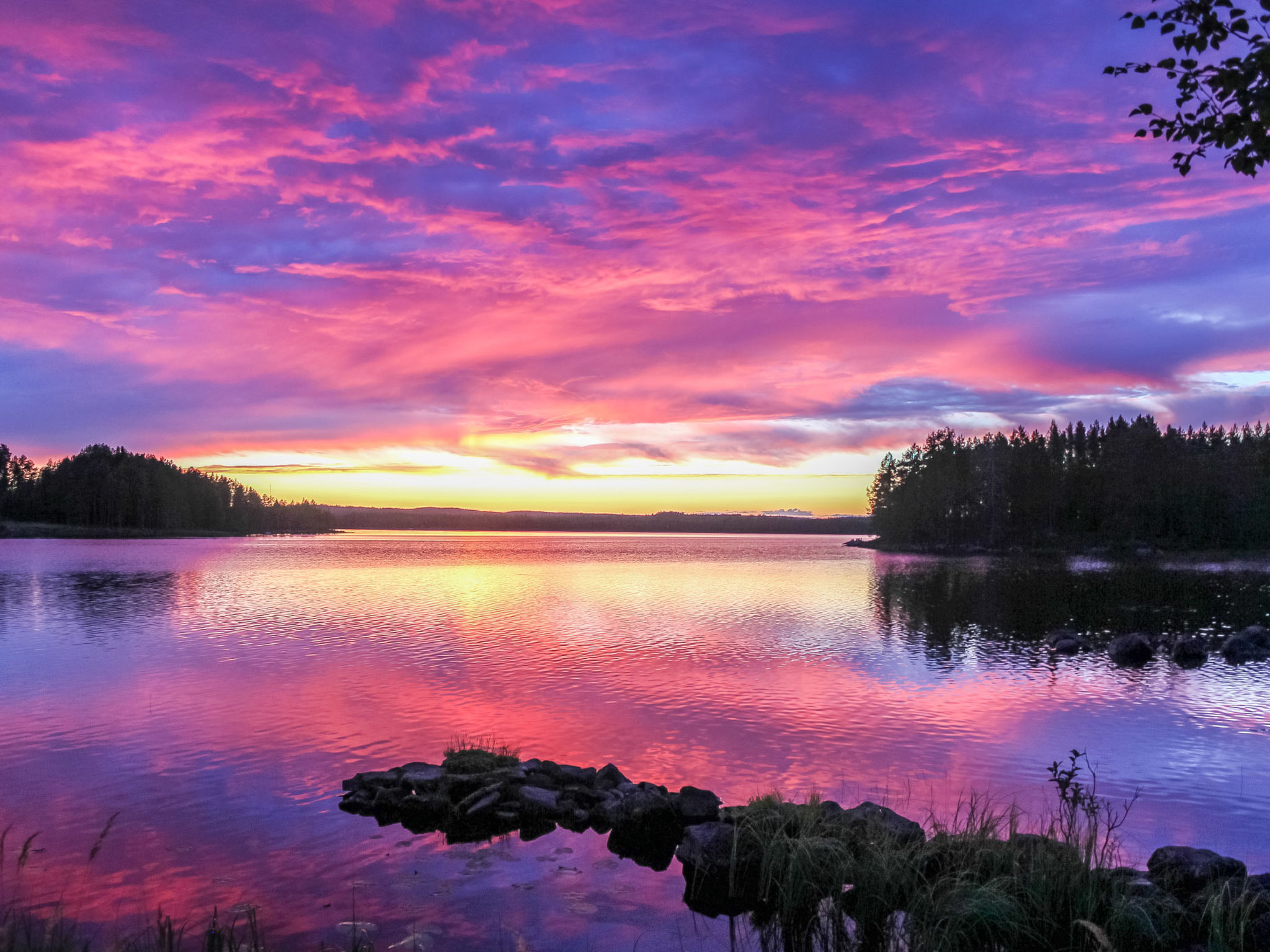 Hamppulahti