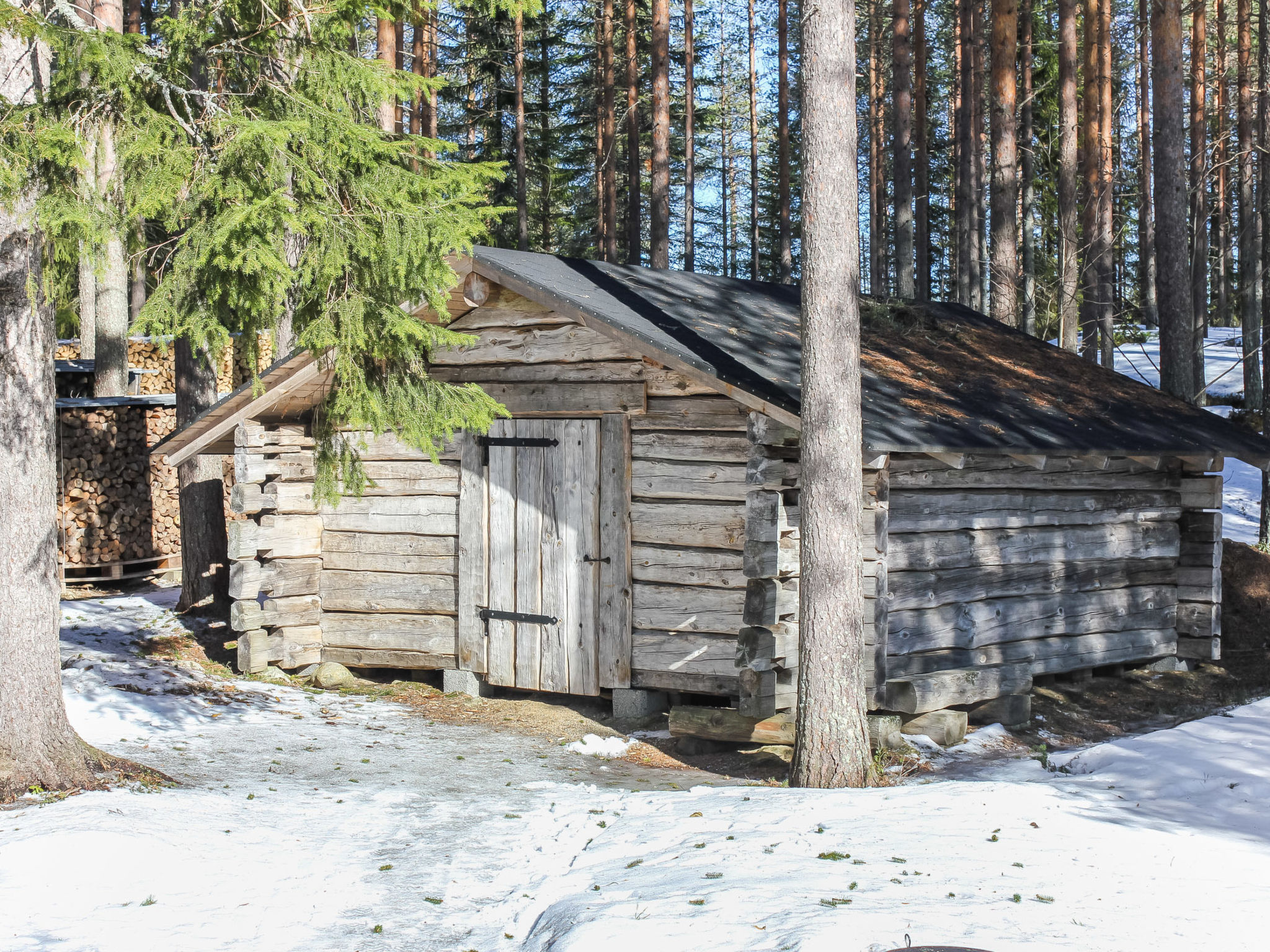 Hamppulahti