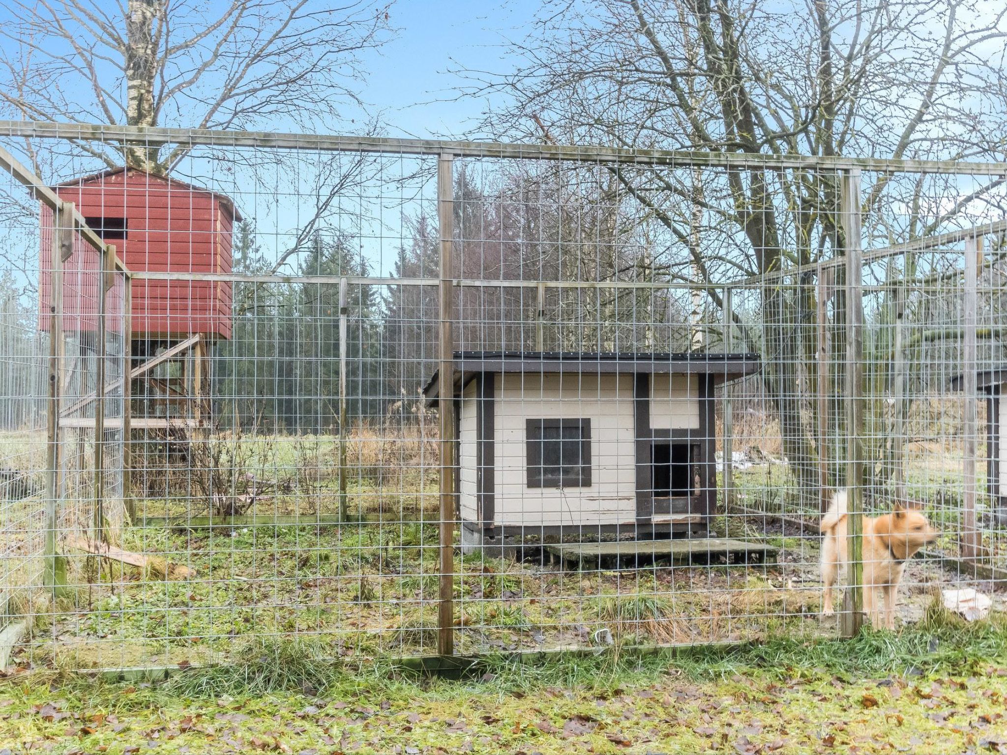 Backcountry base-Binnen