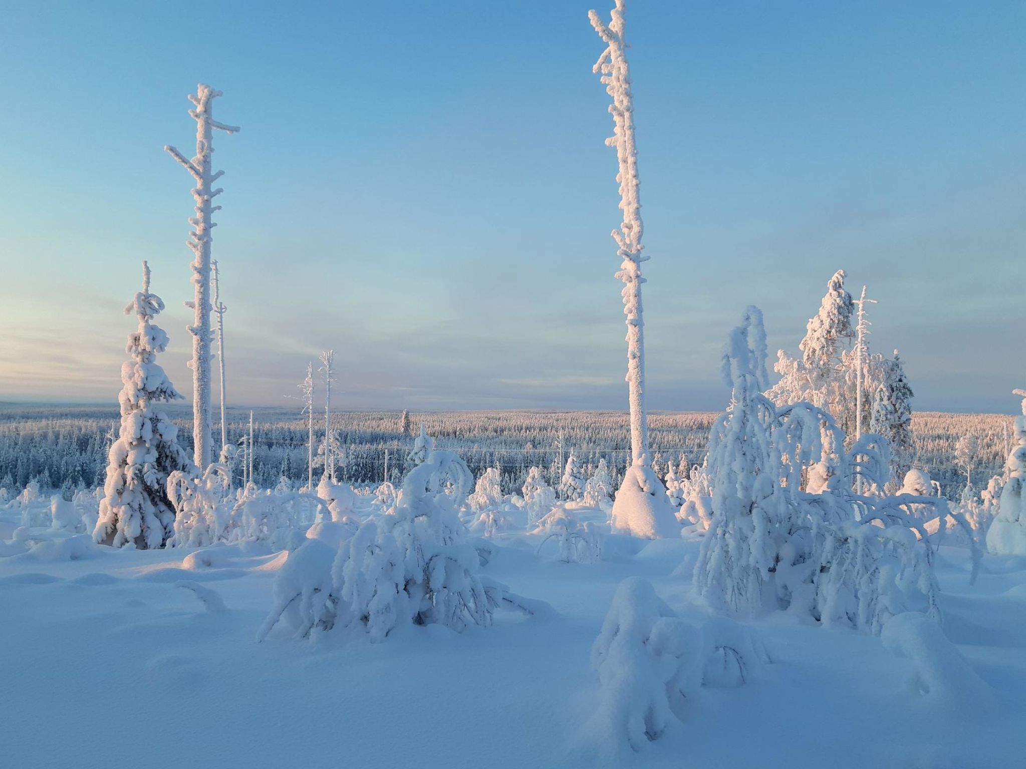 Backcountry base-Binnen