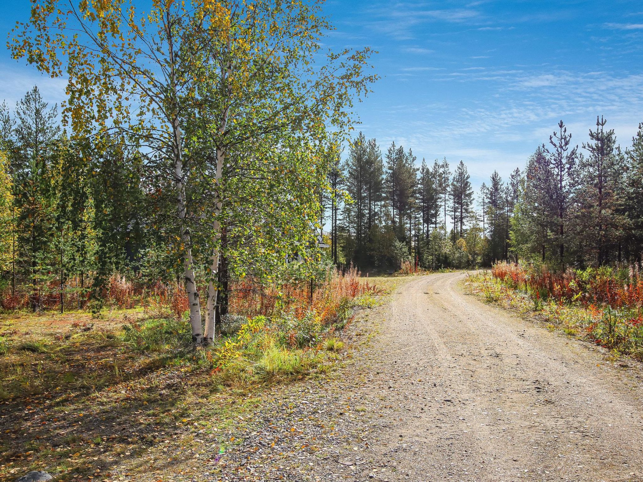 Lampitaival 5-Inside