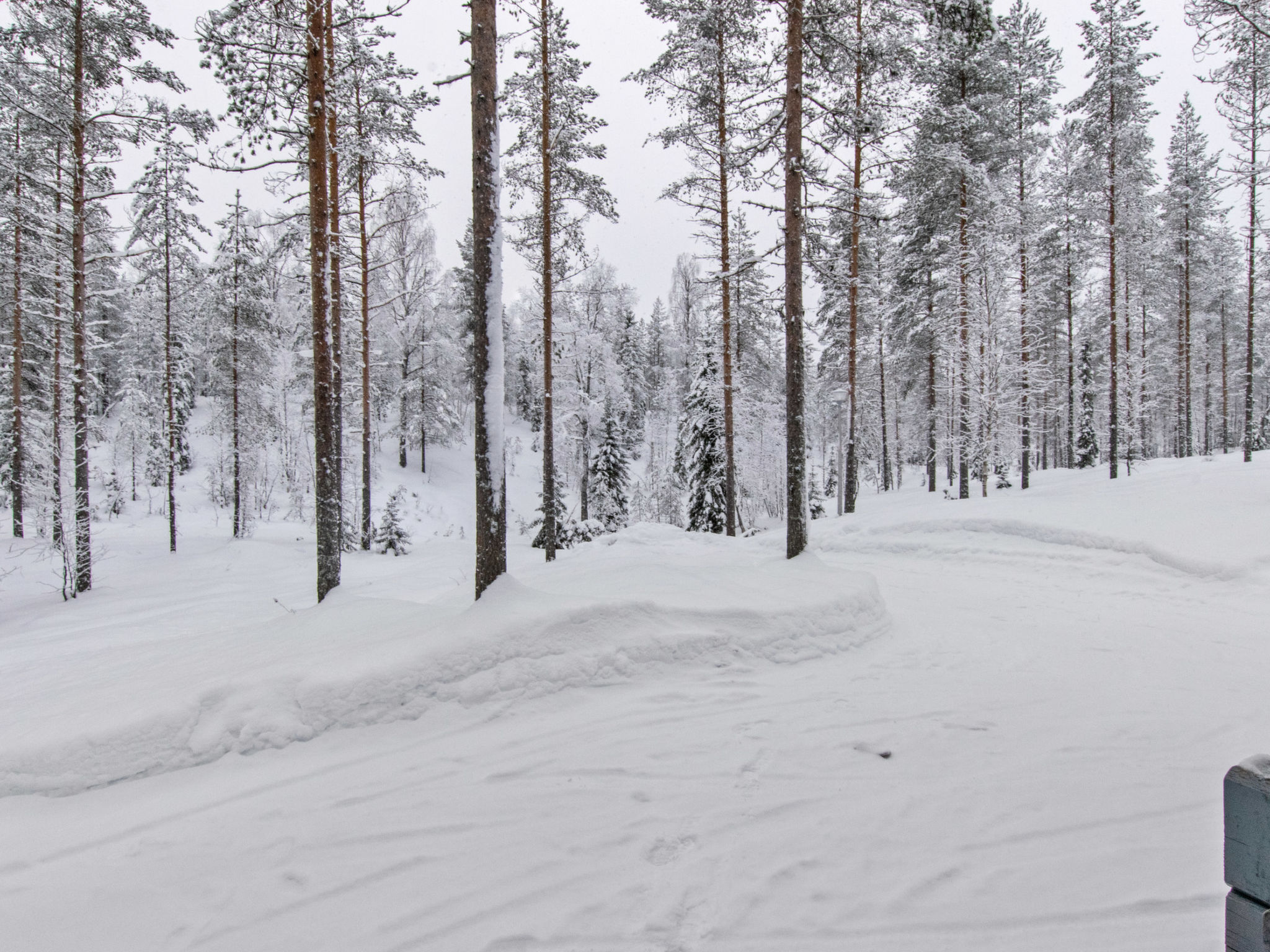 Maison Ilves – Intérieur, photo 15 sur 32