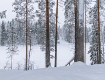 Massief houten chalet aan het meer in Puolanka, vlakbij skicentrum Paljakka - thumbnail 3