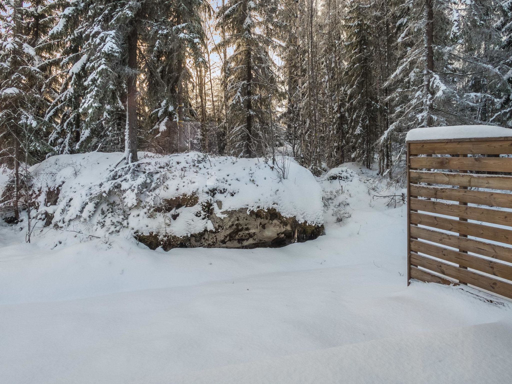Klz rodoniitti-Binnen