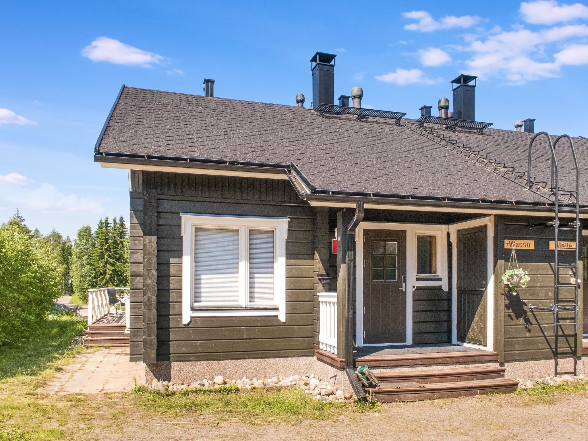 Vuokatin wassu-Binnen