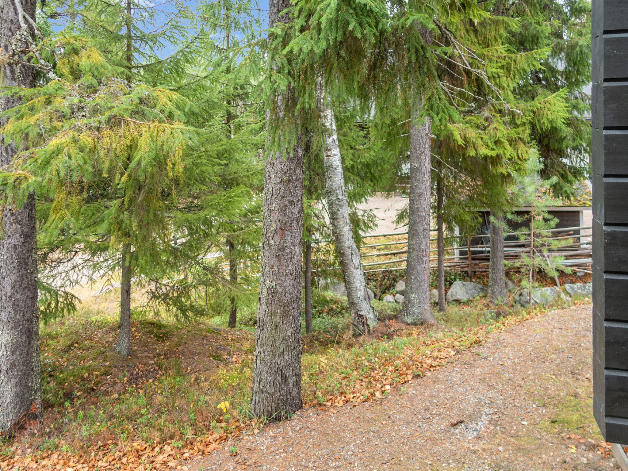 Vuokatin alma-Binnen