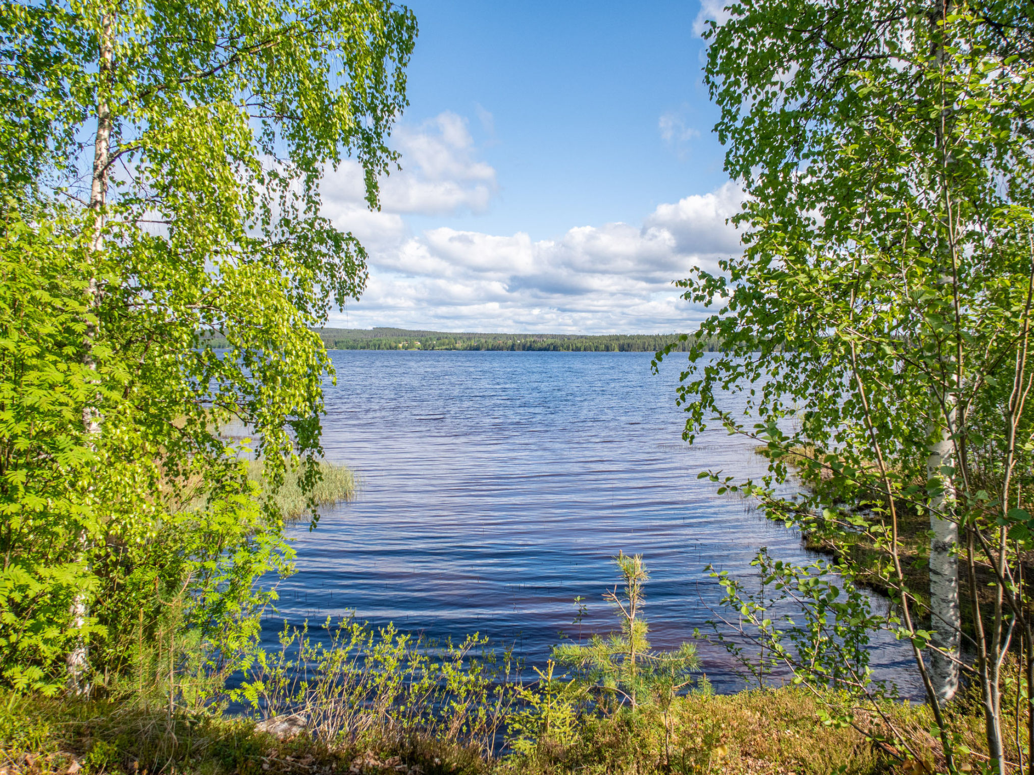 Maison Kotimökki – Intérieur, photo 4 sur 78