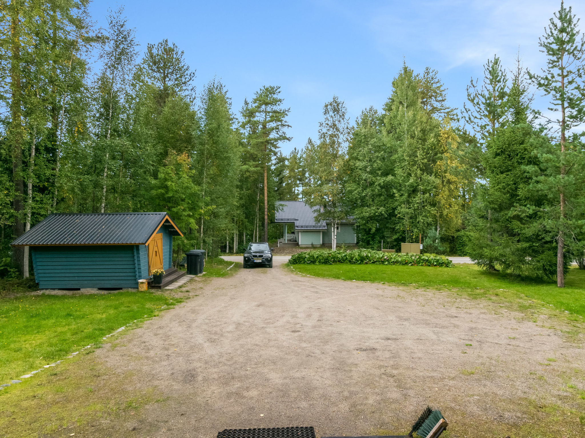 Linnanhelmi (ent. metsäpeura)