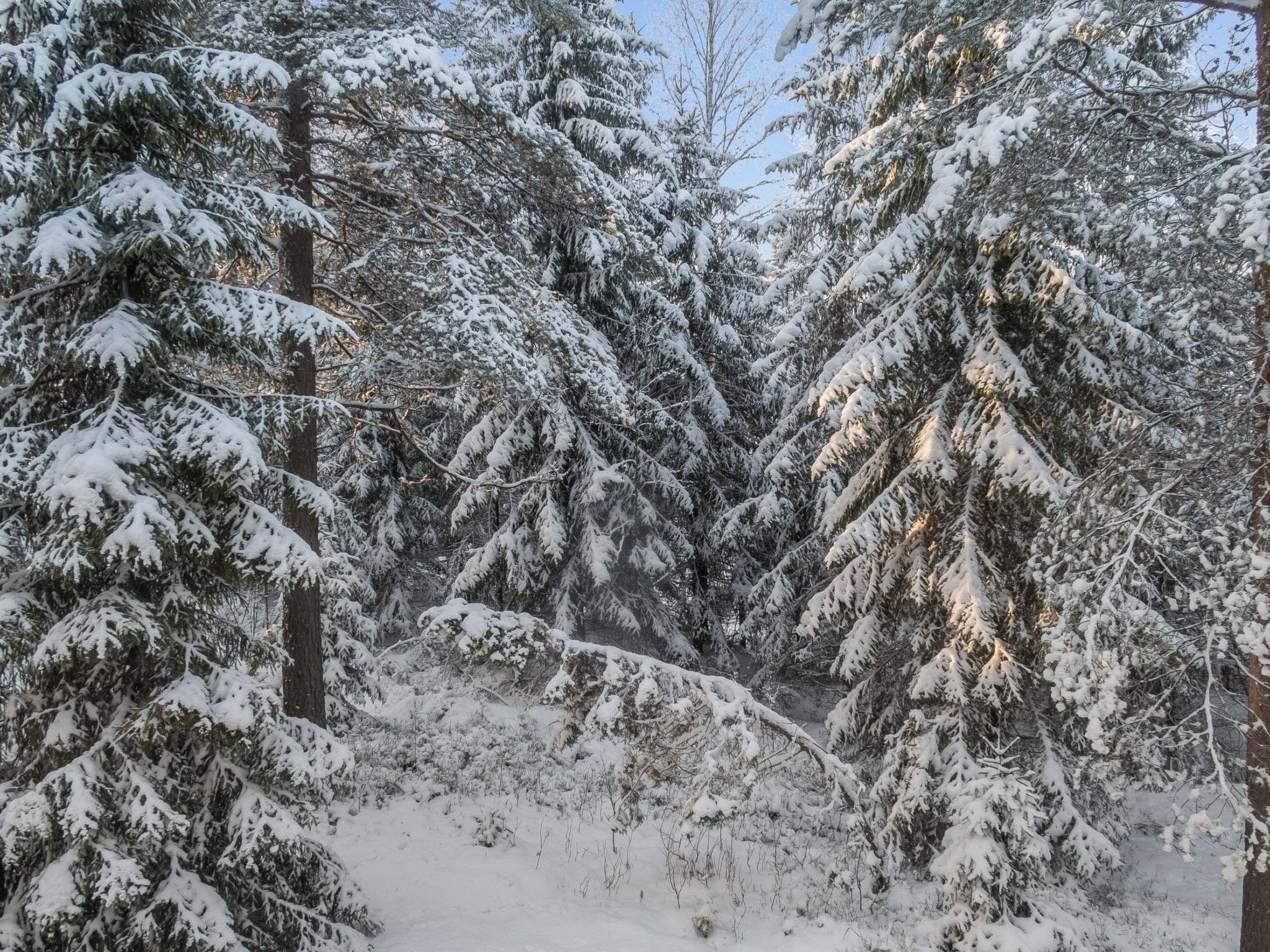 Vaarapirtti / tähti-Binnen
