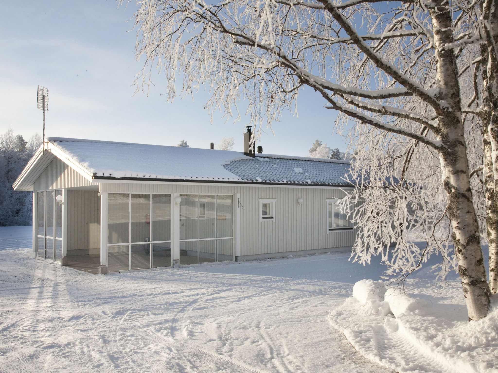 Metsätähti