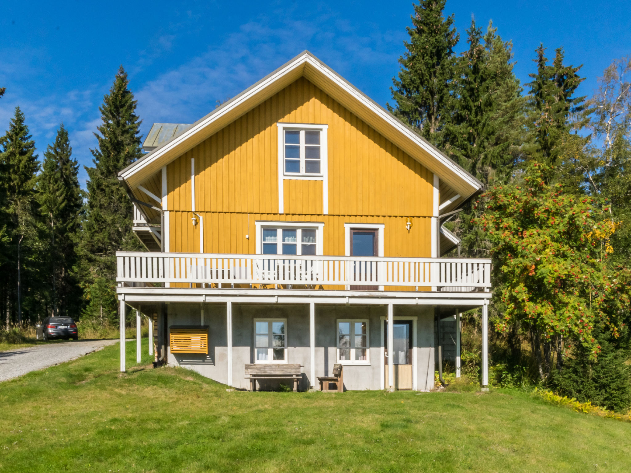Villa viettorinne
