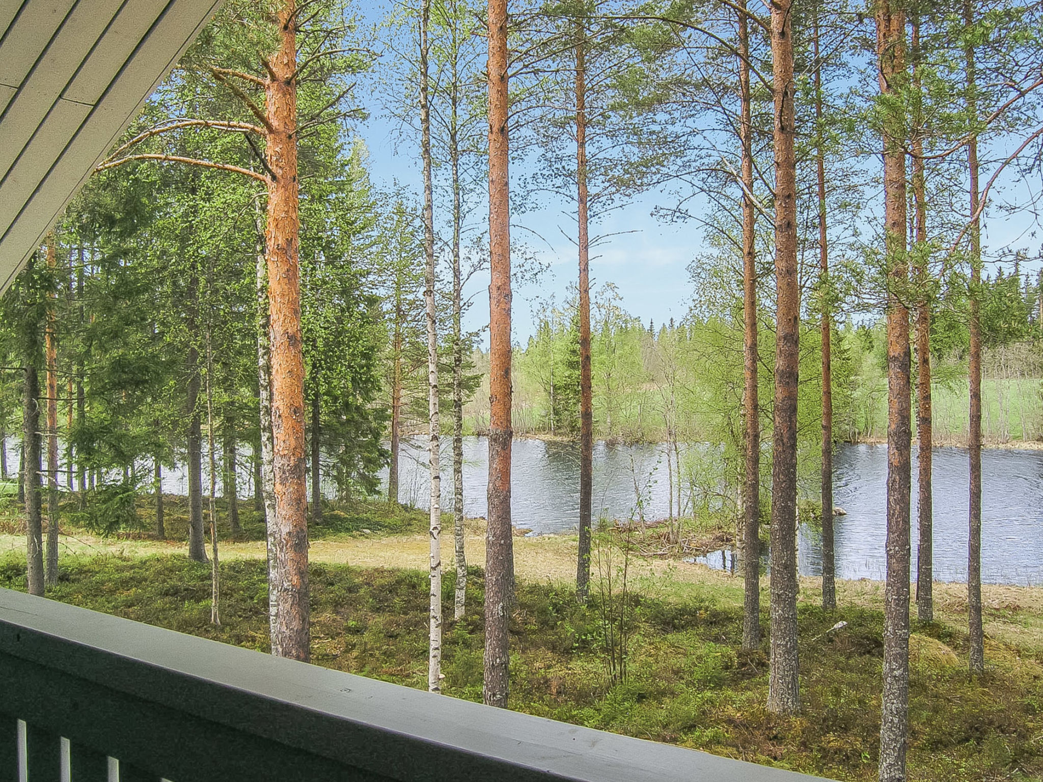 Yläneuvola niemi - Binnen
