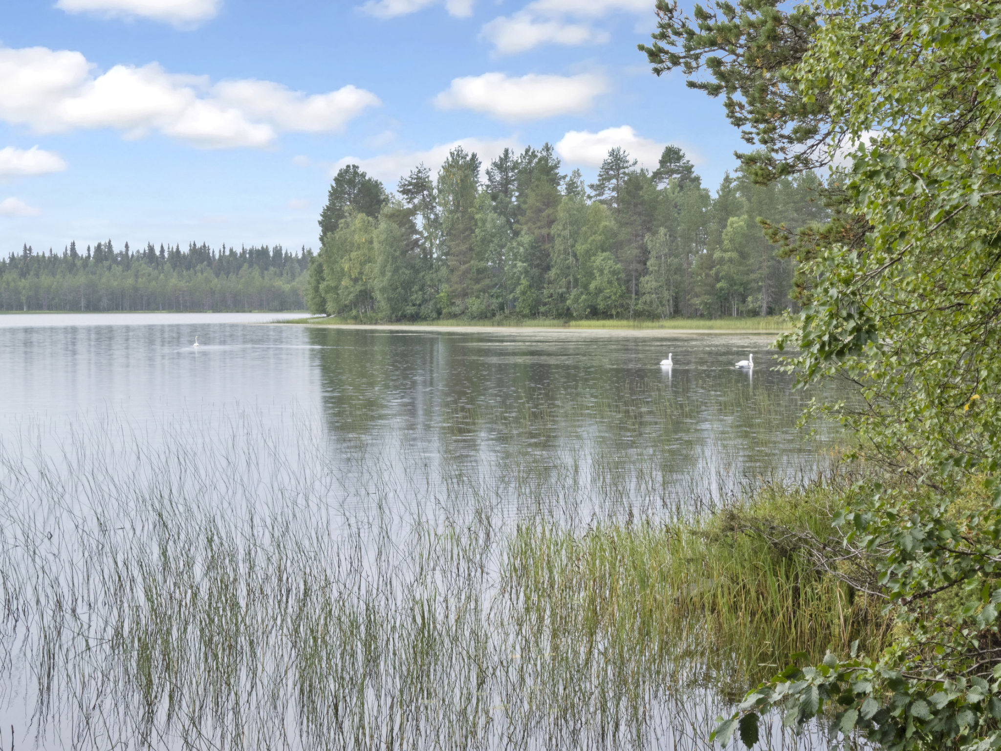 Lepokunnas