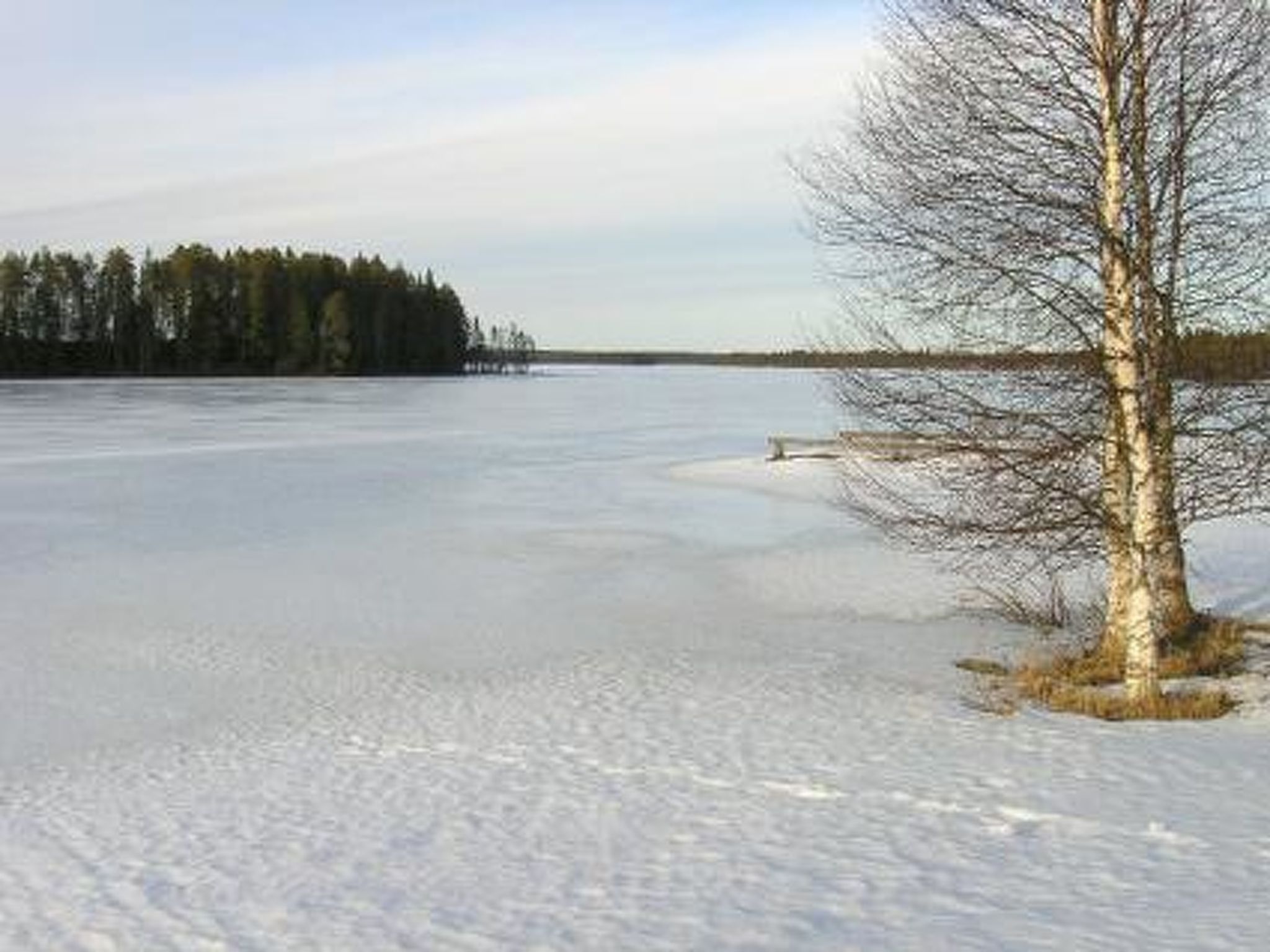 Kallela