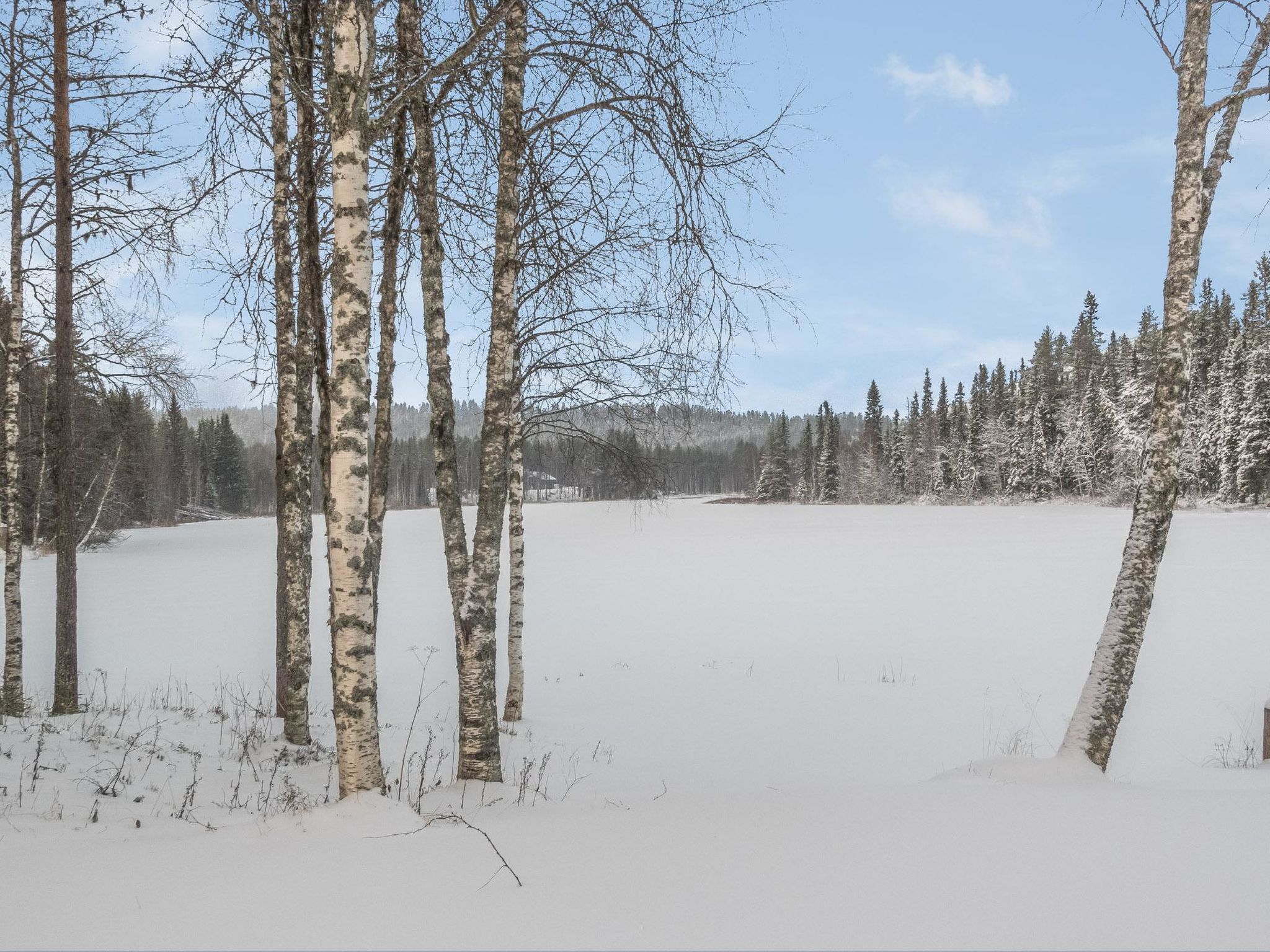 Vaahtissuvanto-Binnen
