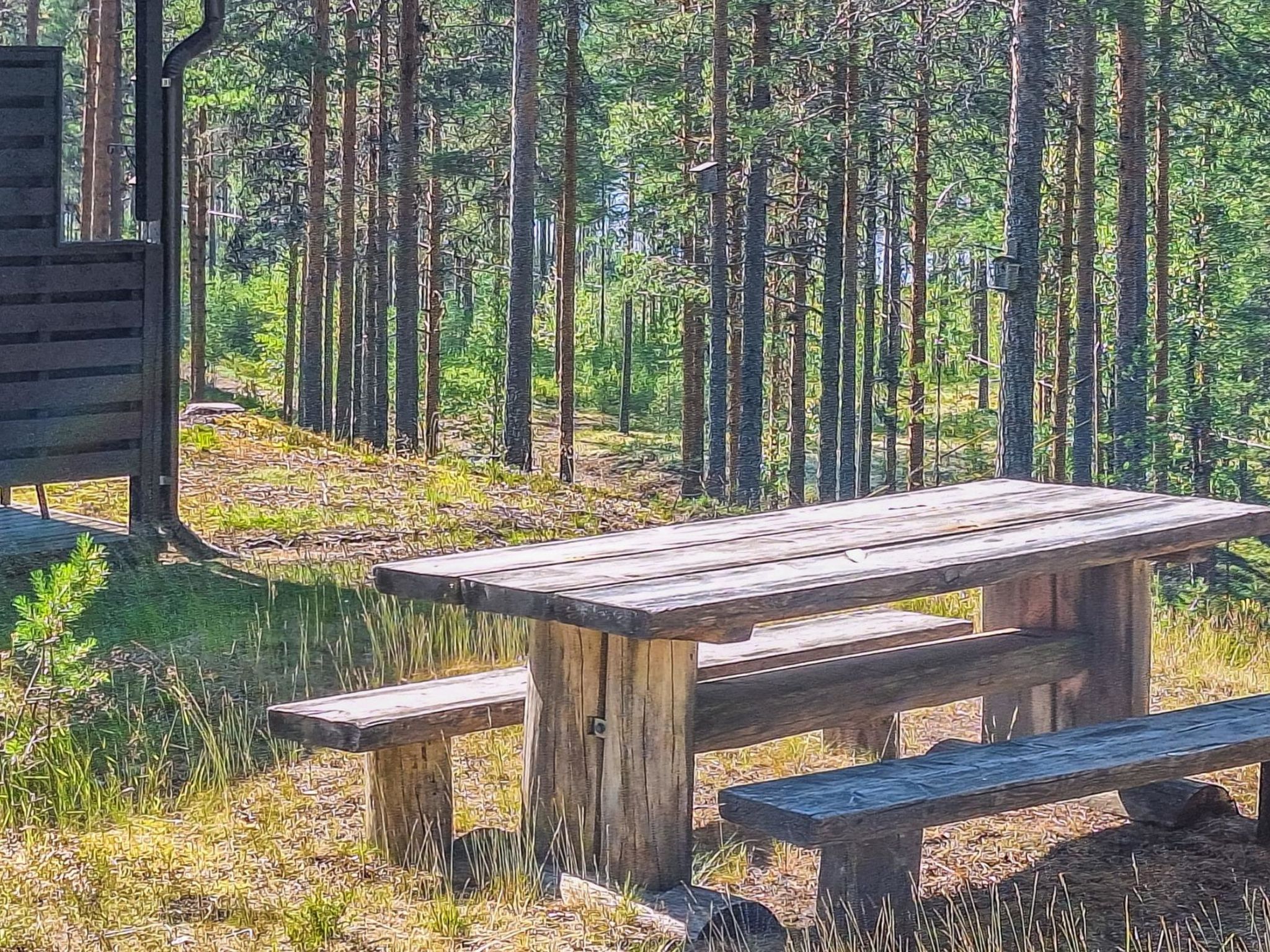 Rokua vaulutupa-Binnen