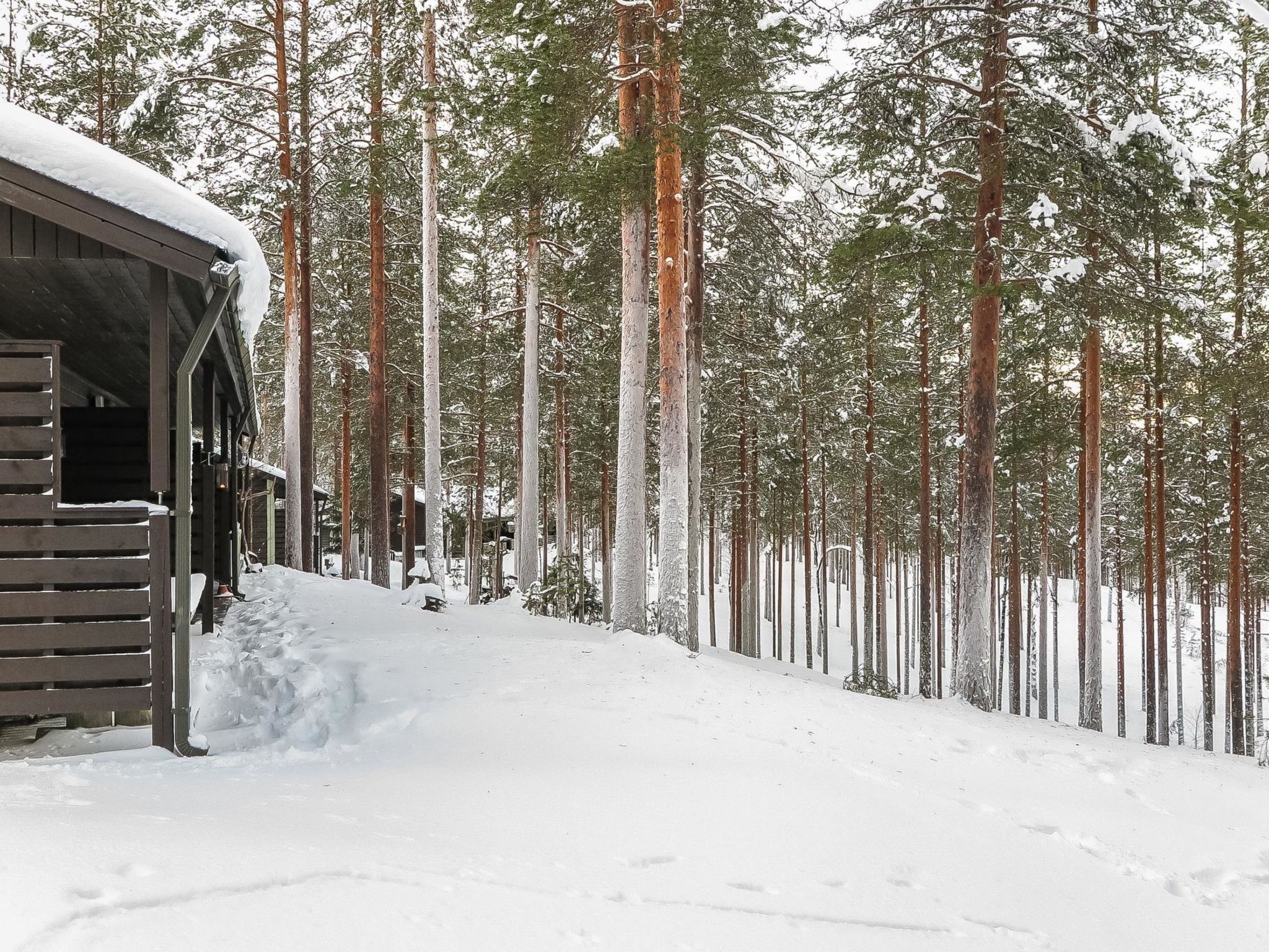 Rokua vaulutupa-Binnen